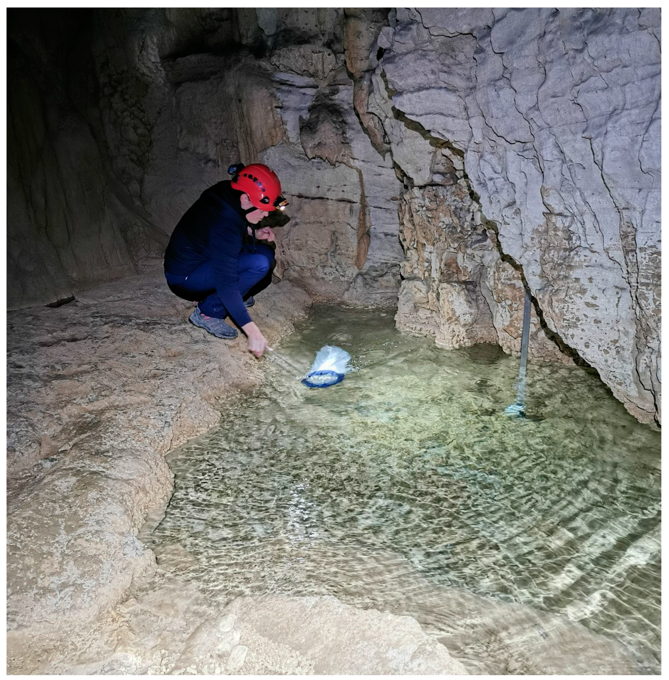 Sustainability 16 10123 g002