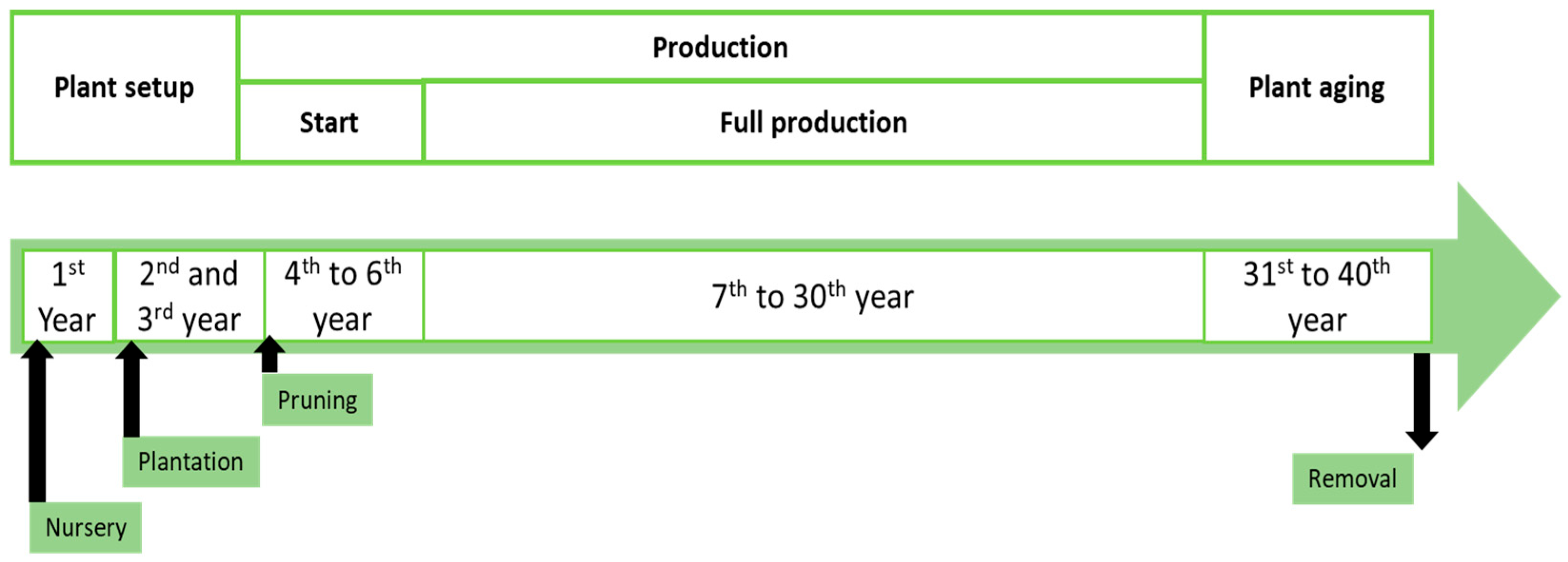 Sustainability 16 10127 g002
