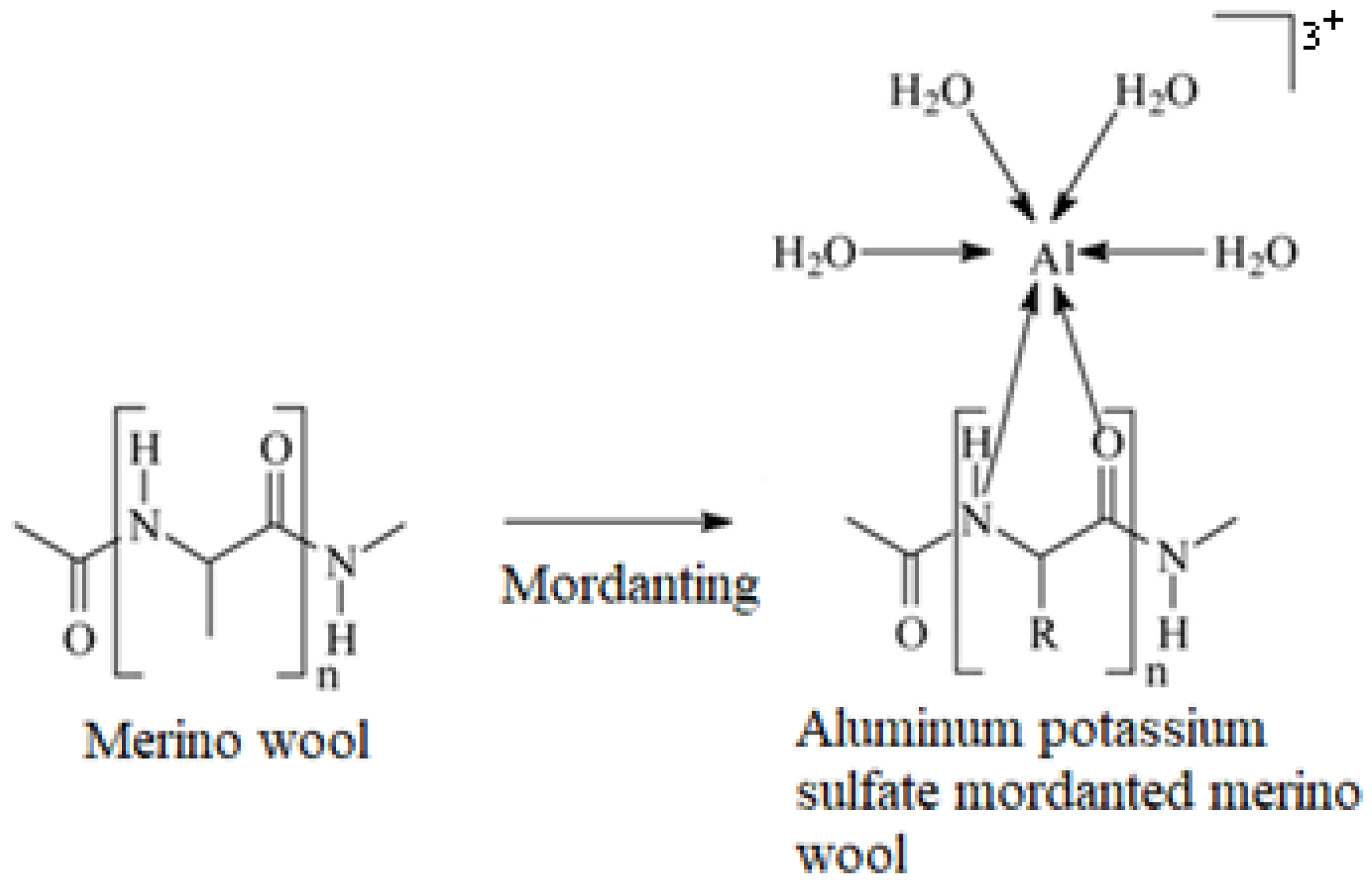 Sustainability 16 10129 g001