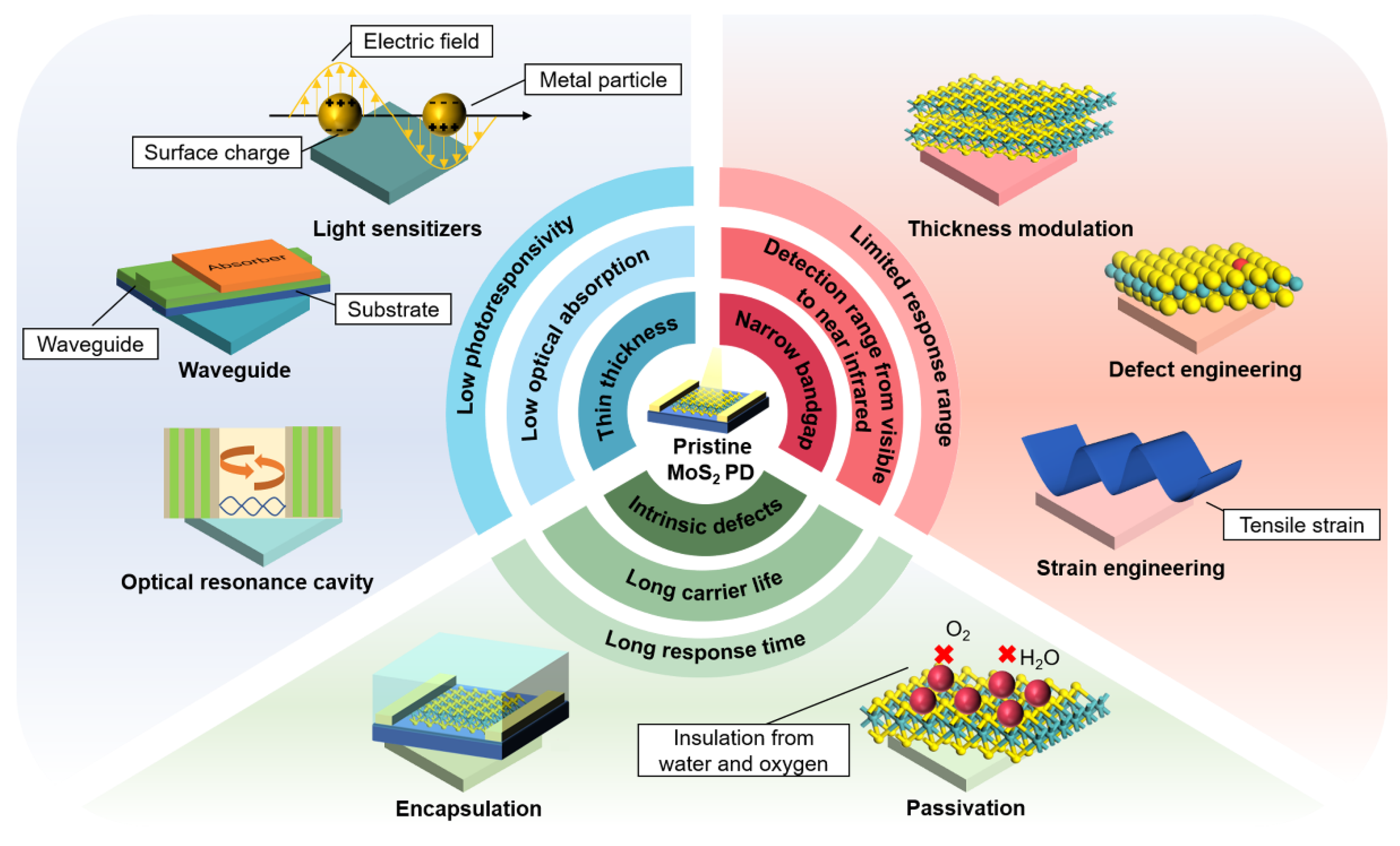 Sustainability 16 10137 g001
