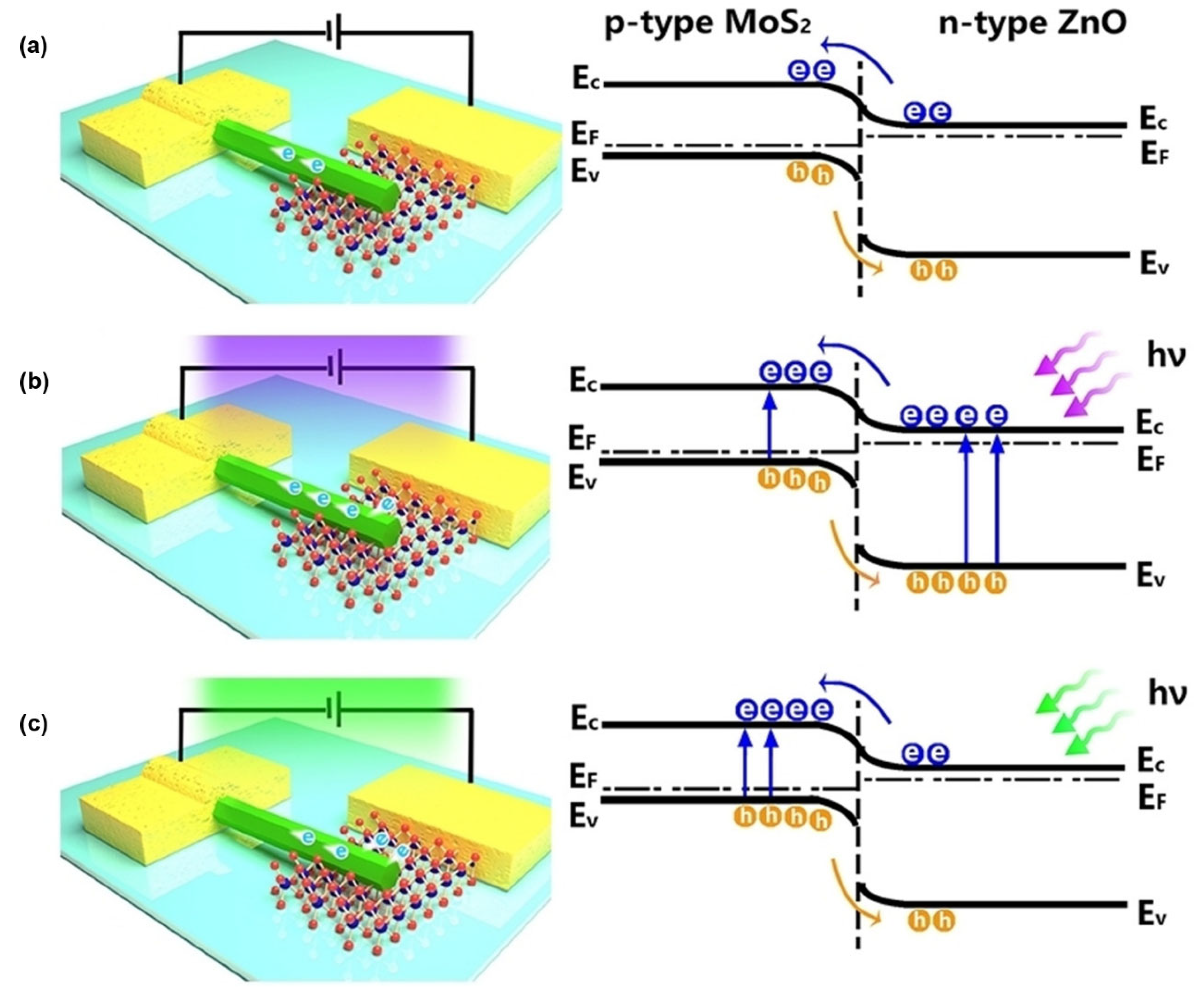 Sustainability 16 10137 g013