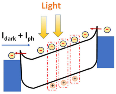 Sustainability 16 10137 i001