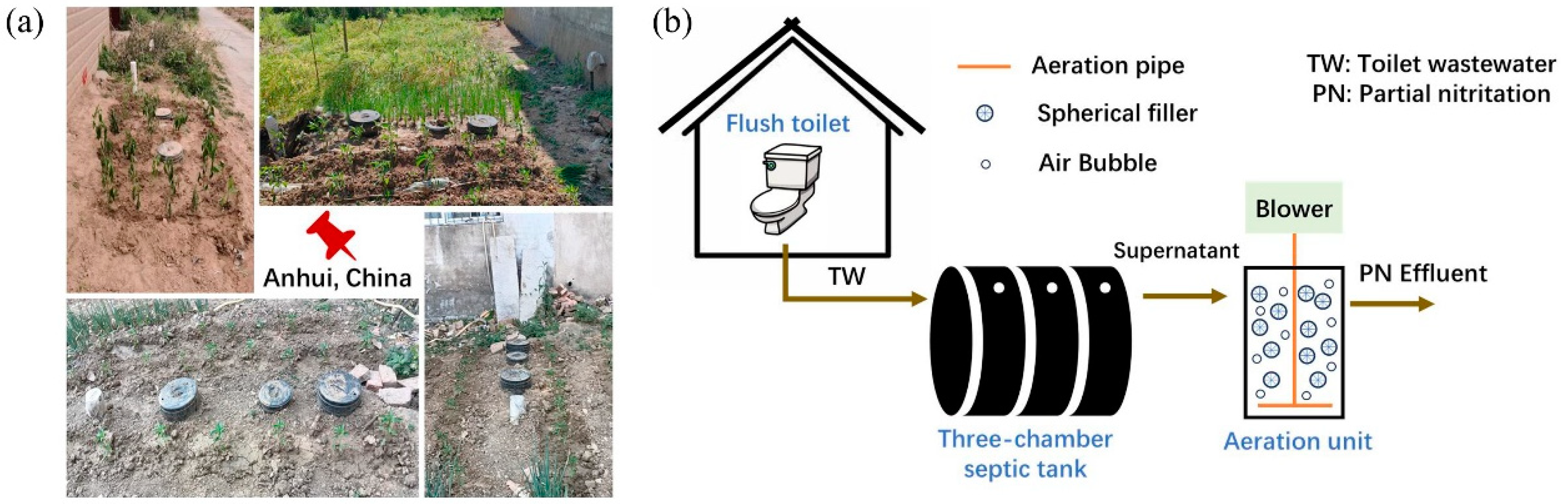 Sustainability 16 10165 g001