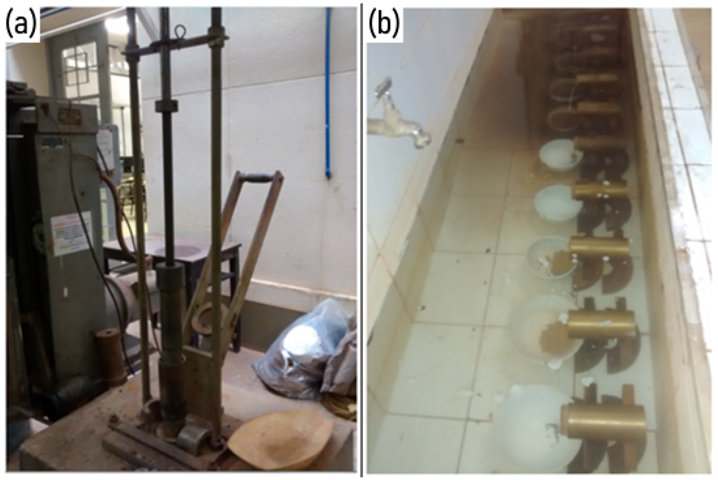 Sustainability 16 10211 g002