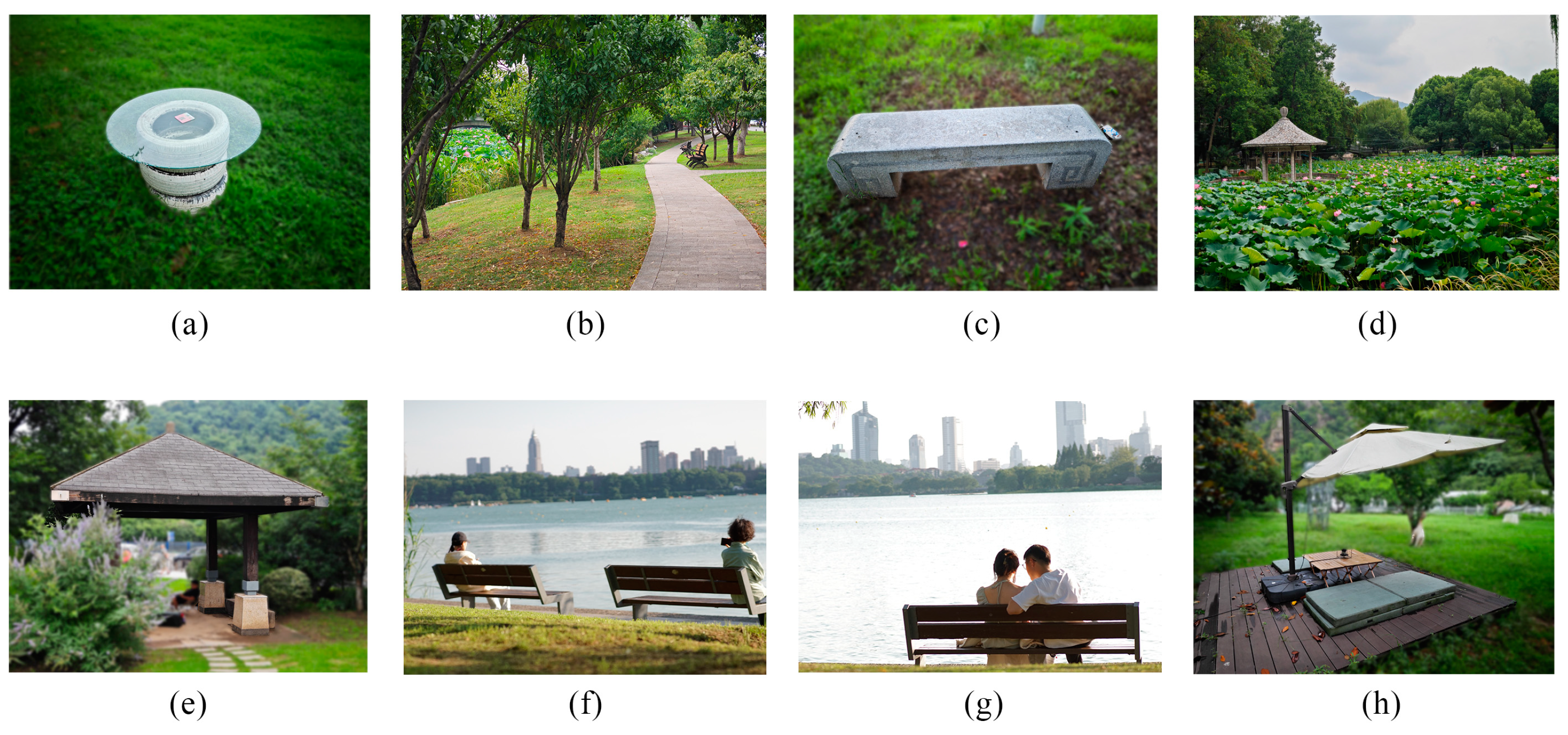 Sustainability 16 10219 g002