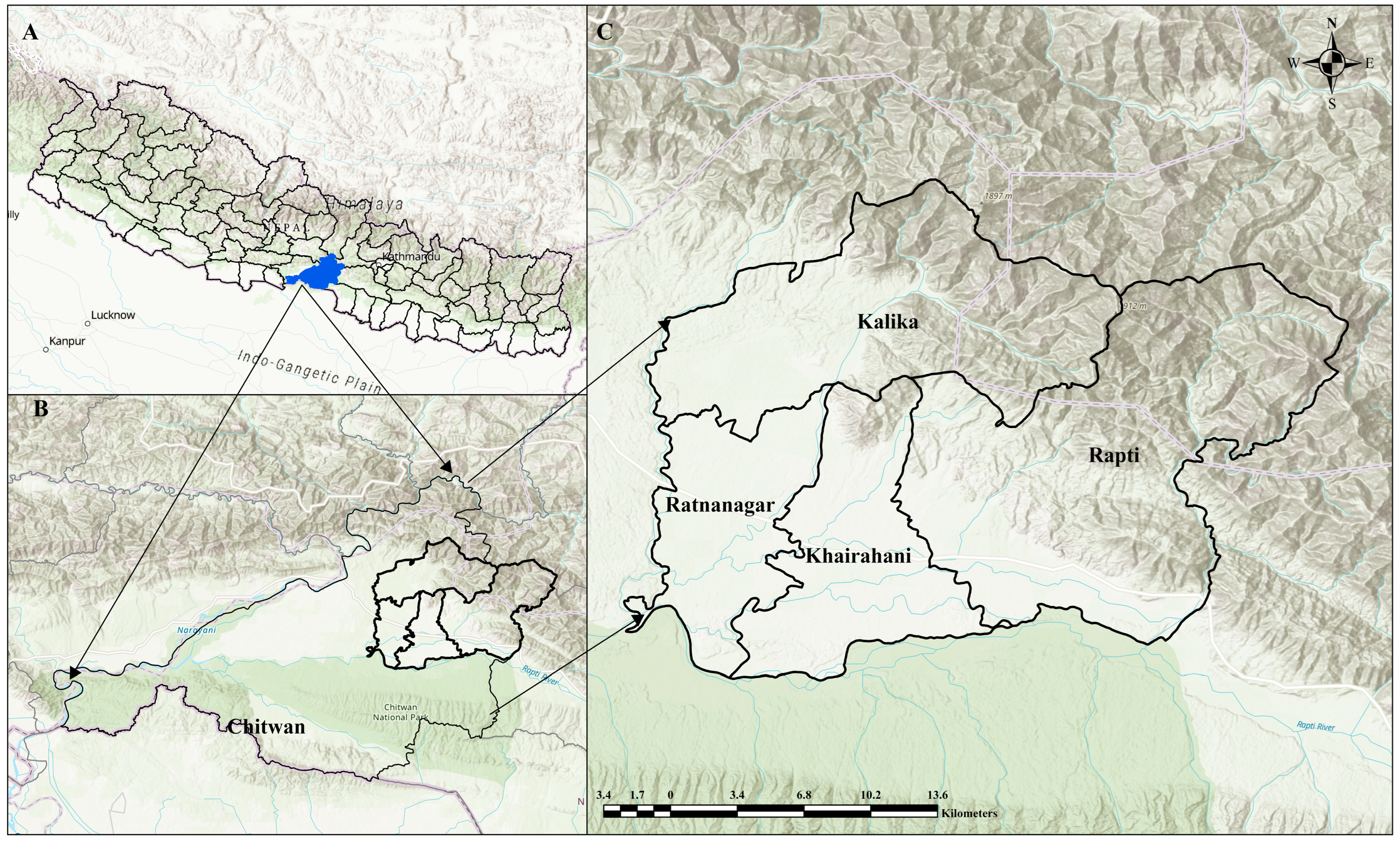 Sustainability 16 10247 g001