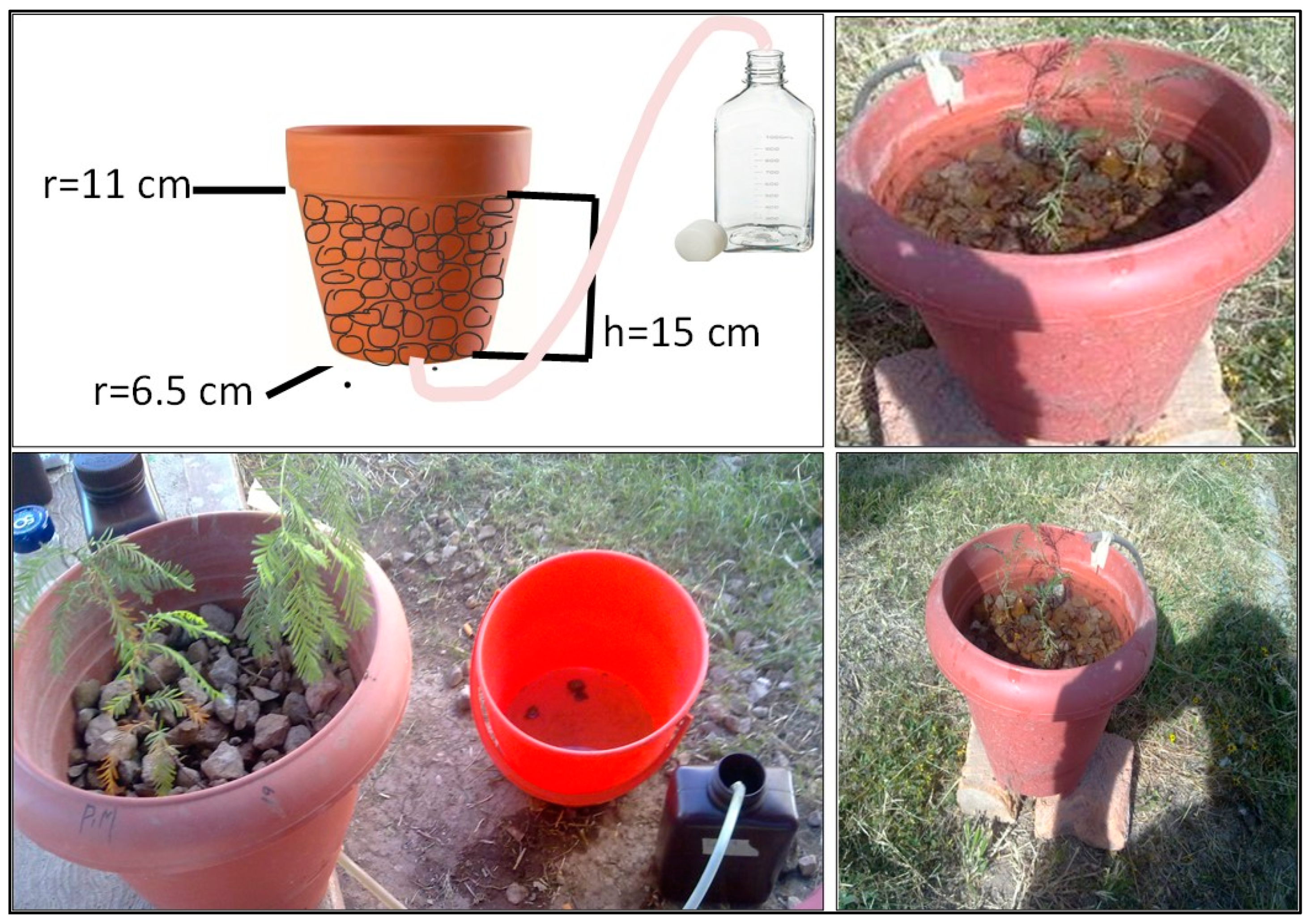 Sustainability 16 10248 g002