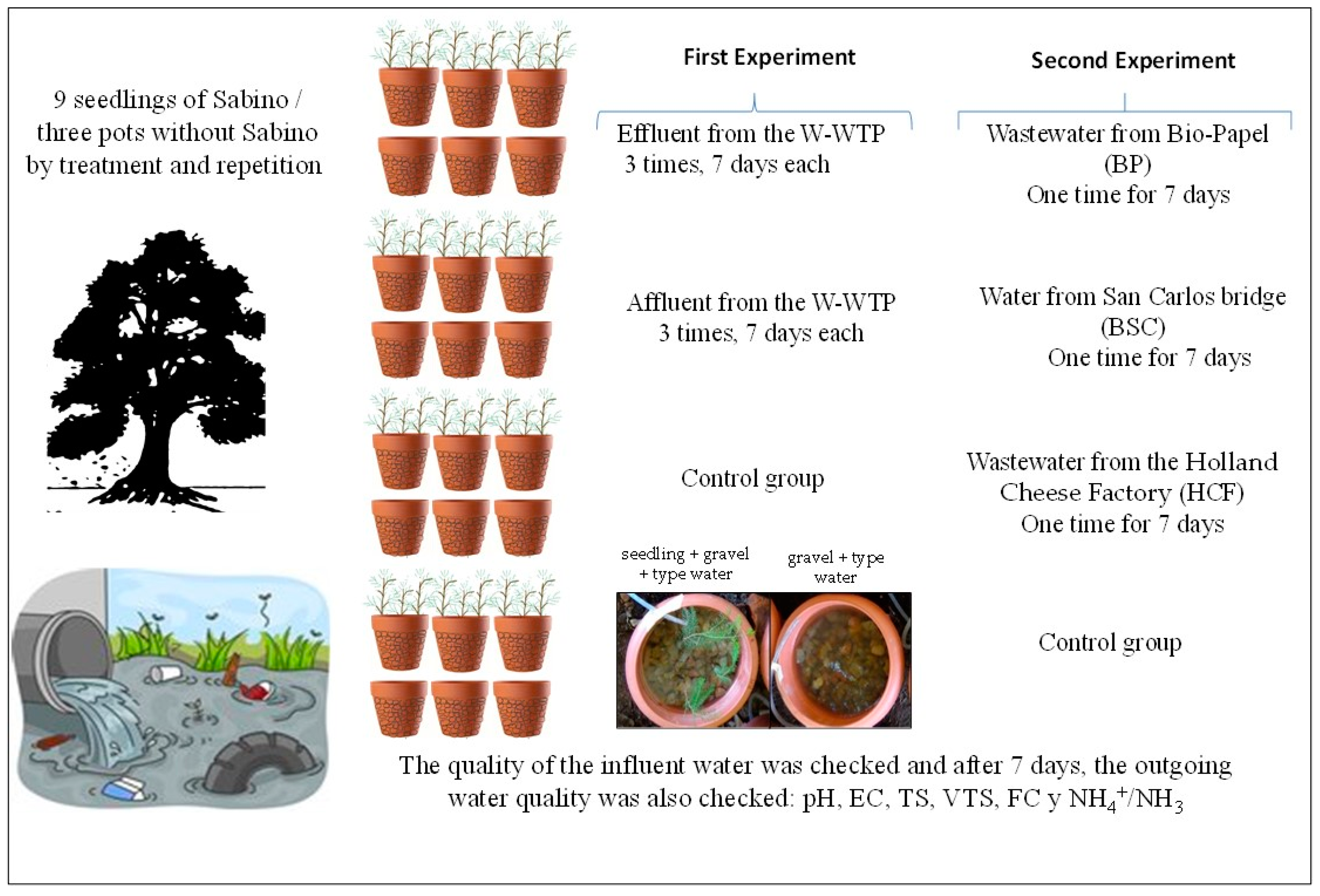 Sustainability 16 10248 g003