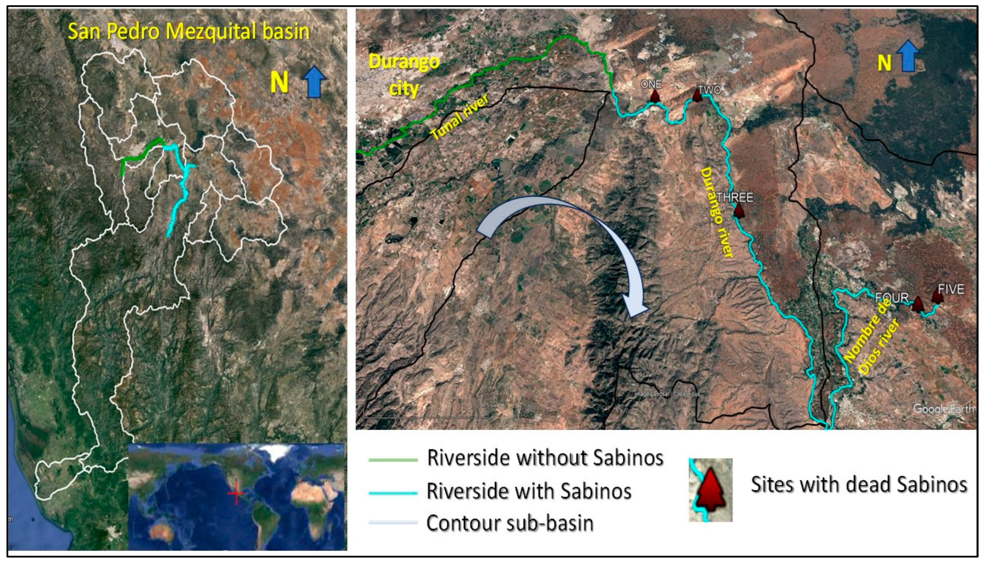 Sustainability 16 10248 g004