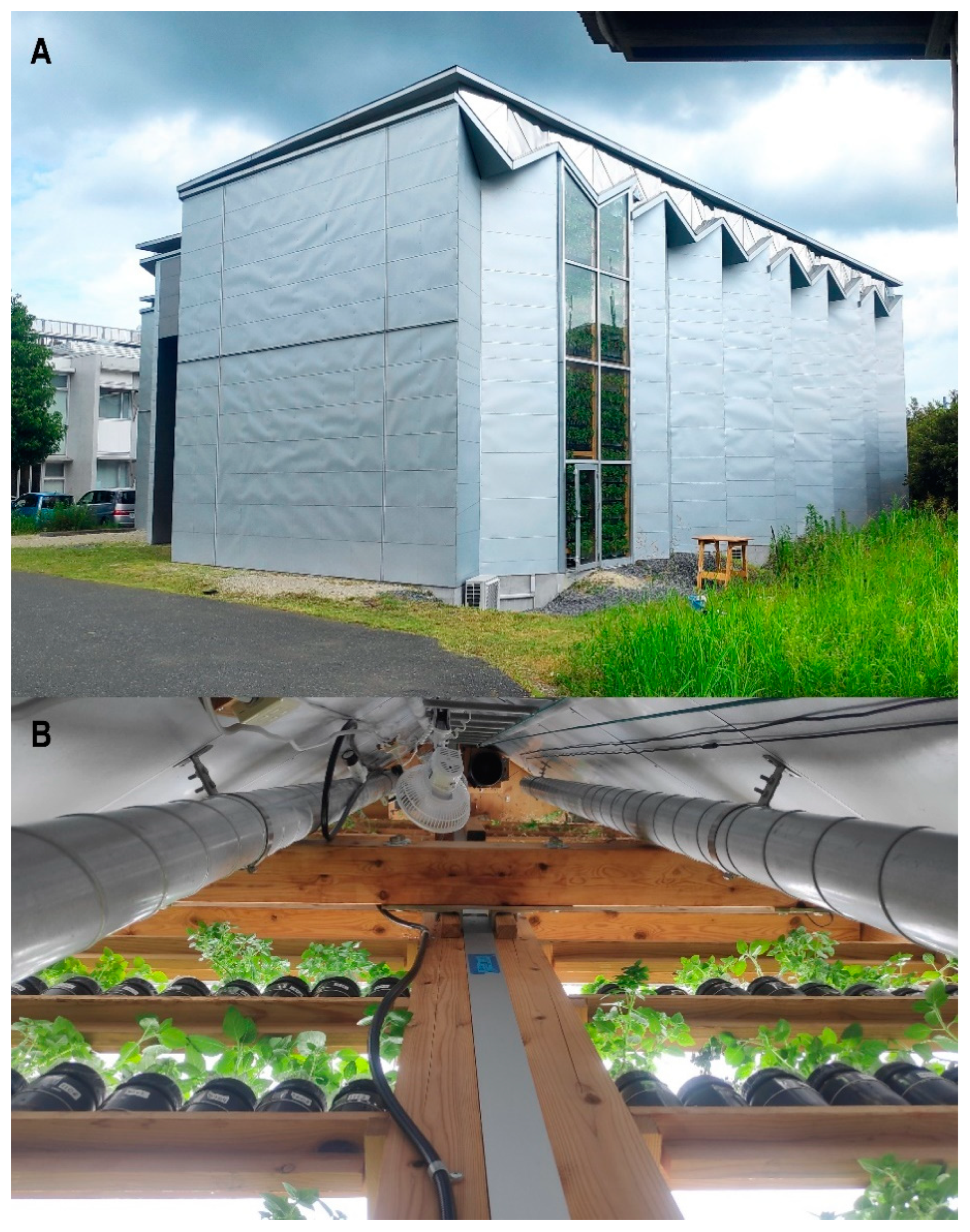 Sustainability 16 10274 g007