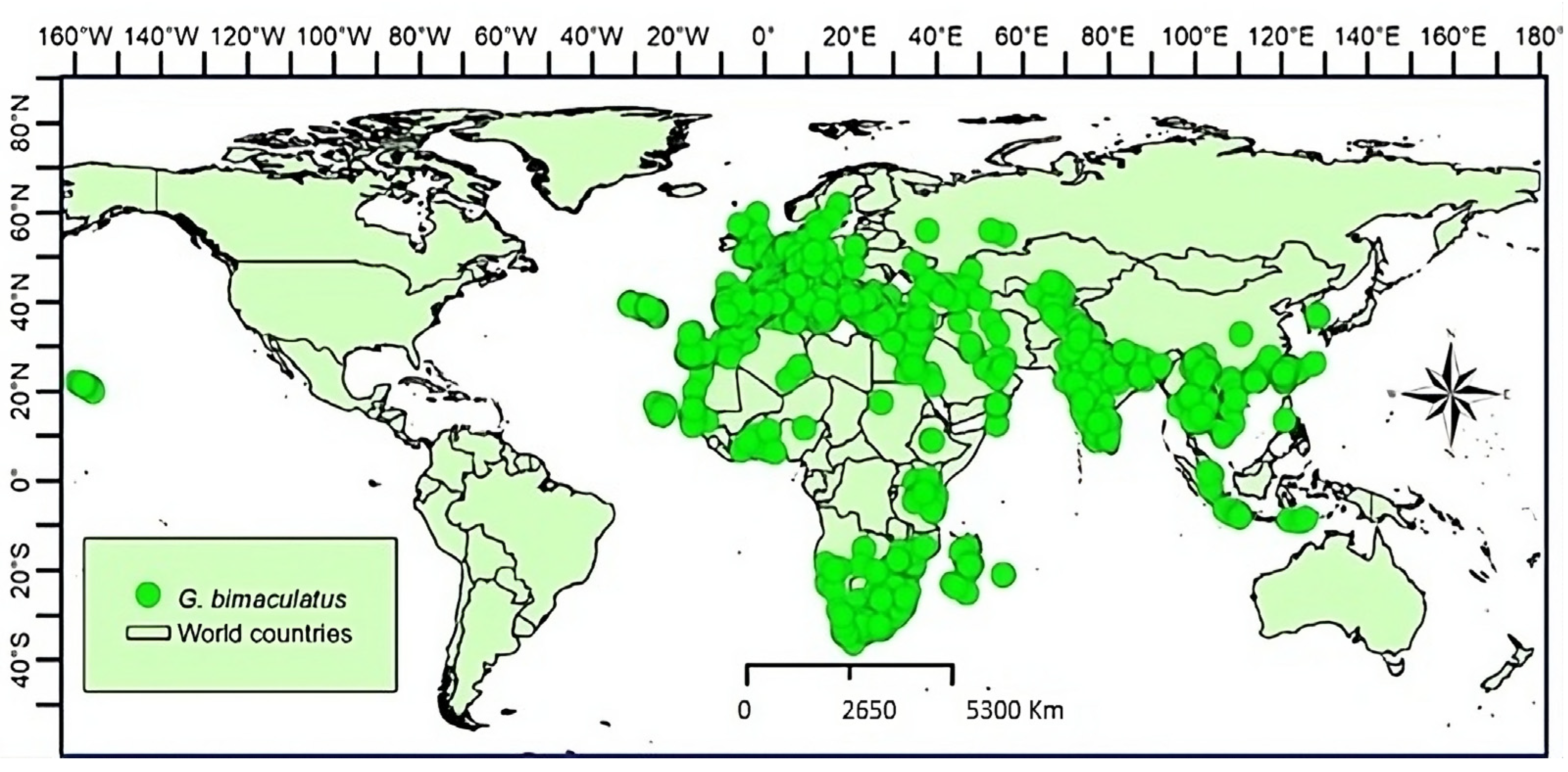 Sustainability 16 10278 g001