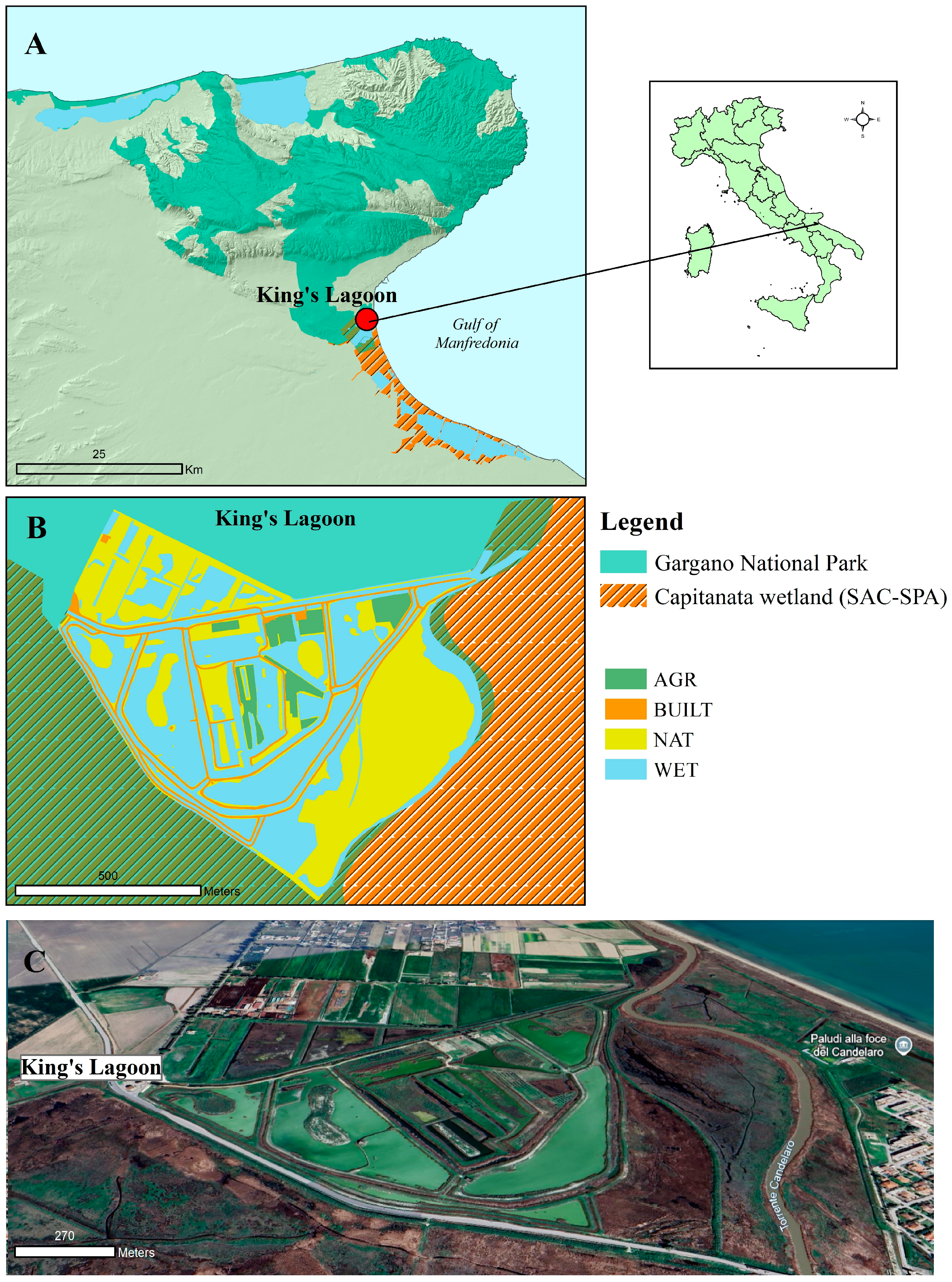 Sustainability 16 10286 g002