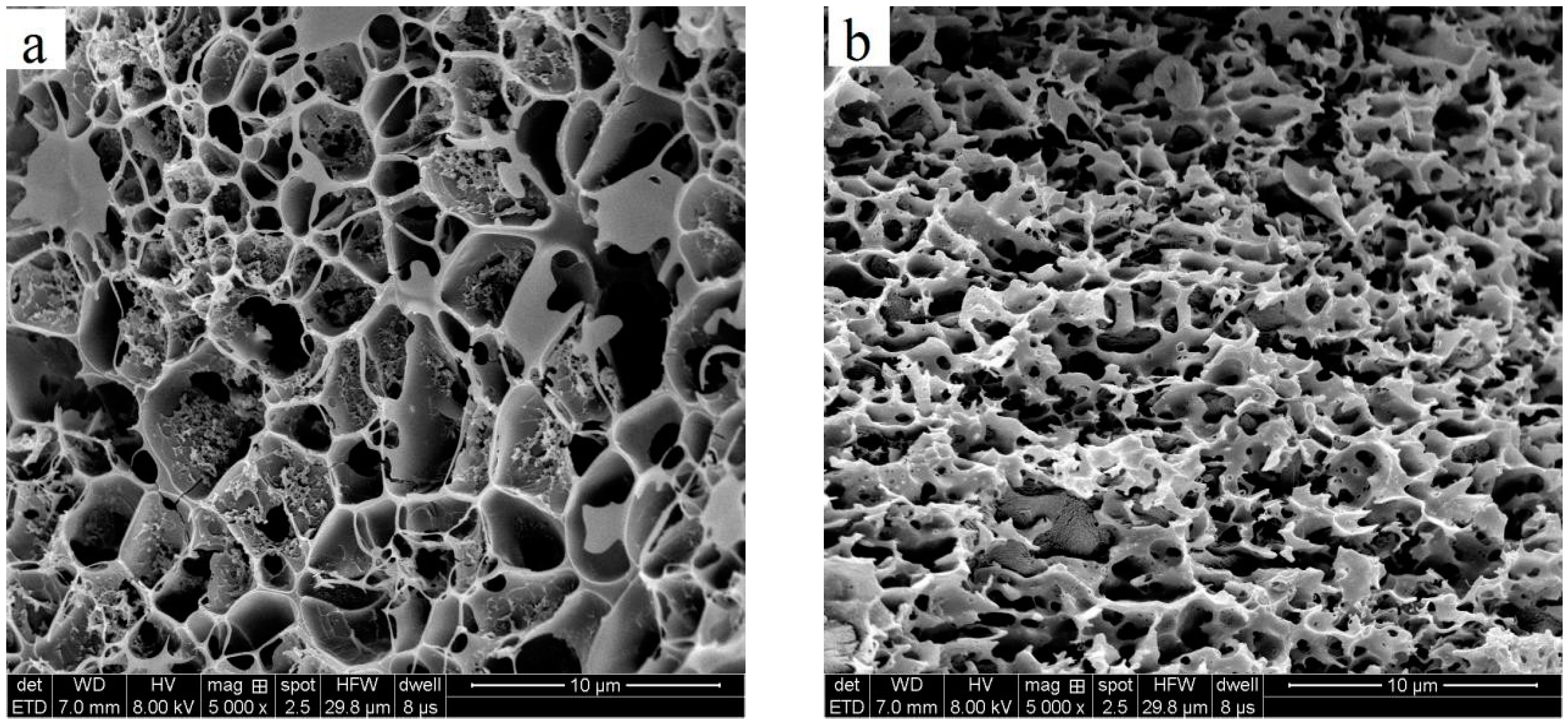 Sustainability 16 10289 g004