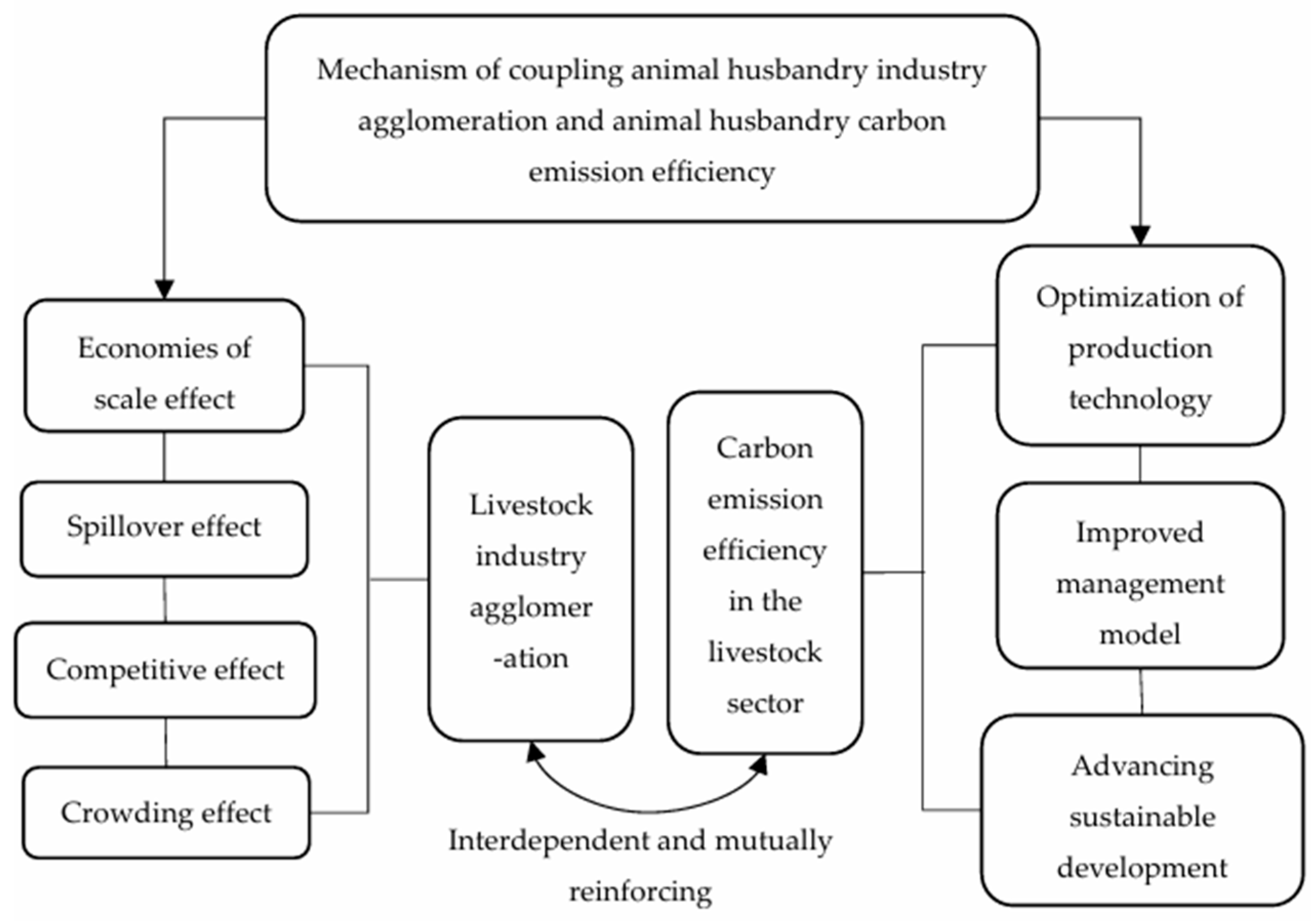 Sustainability 16 10291 g001