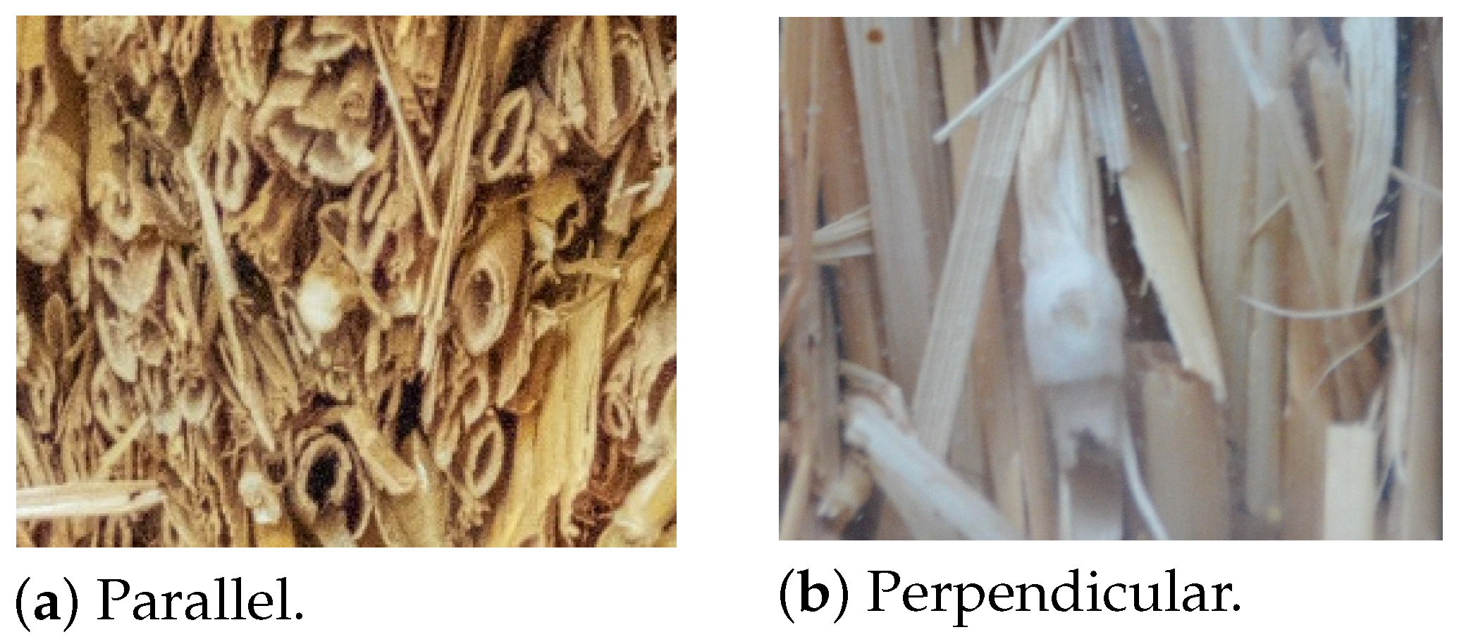 Sustainability 16 10304 g003