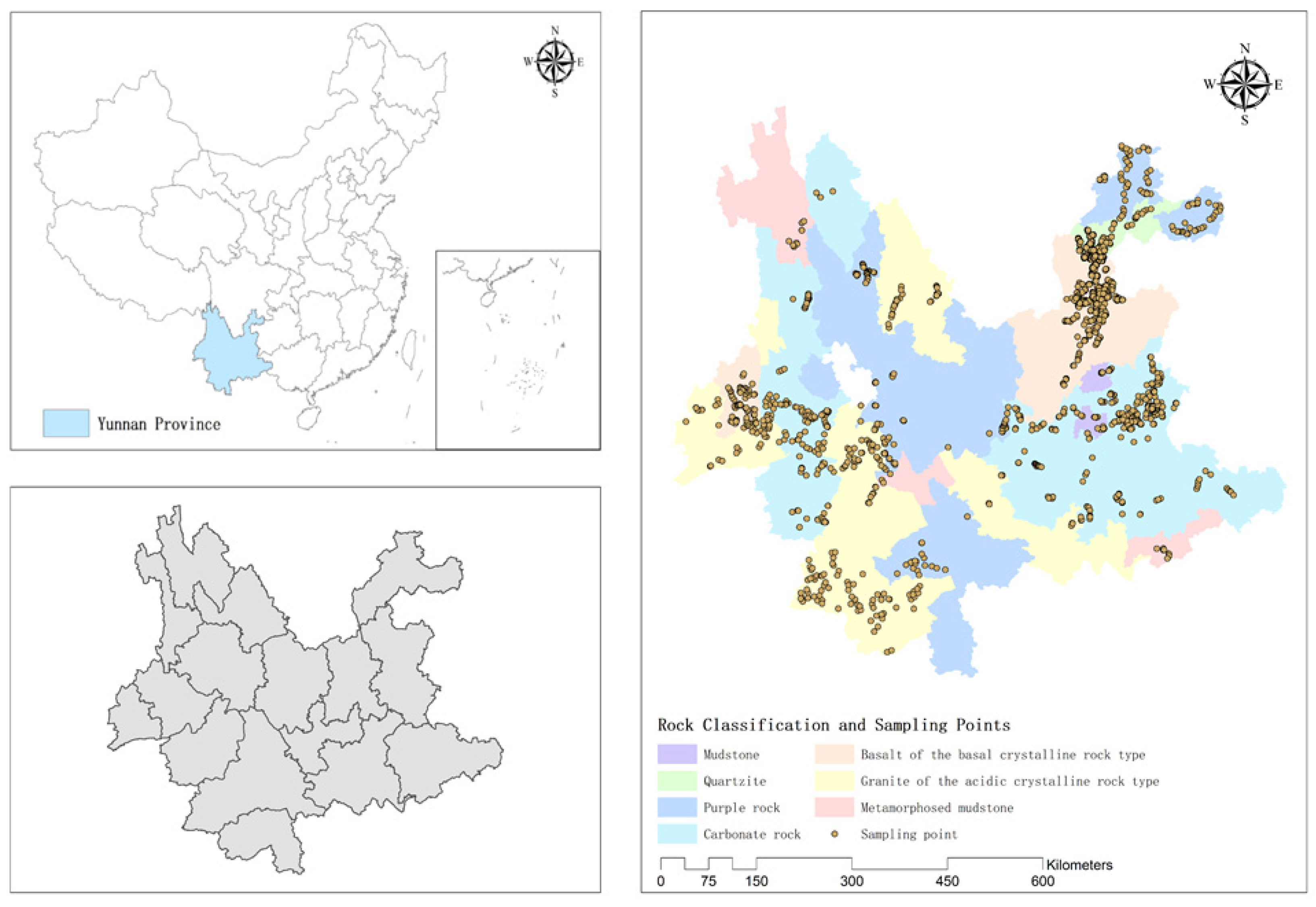 Sustainability 16 10338 g001