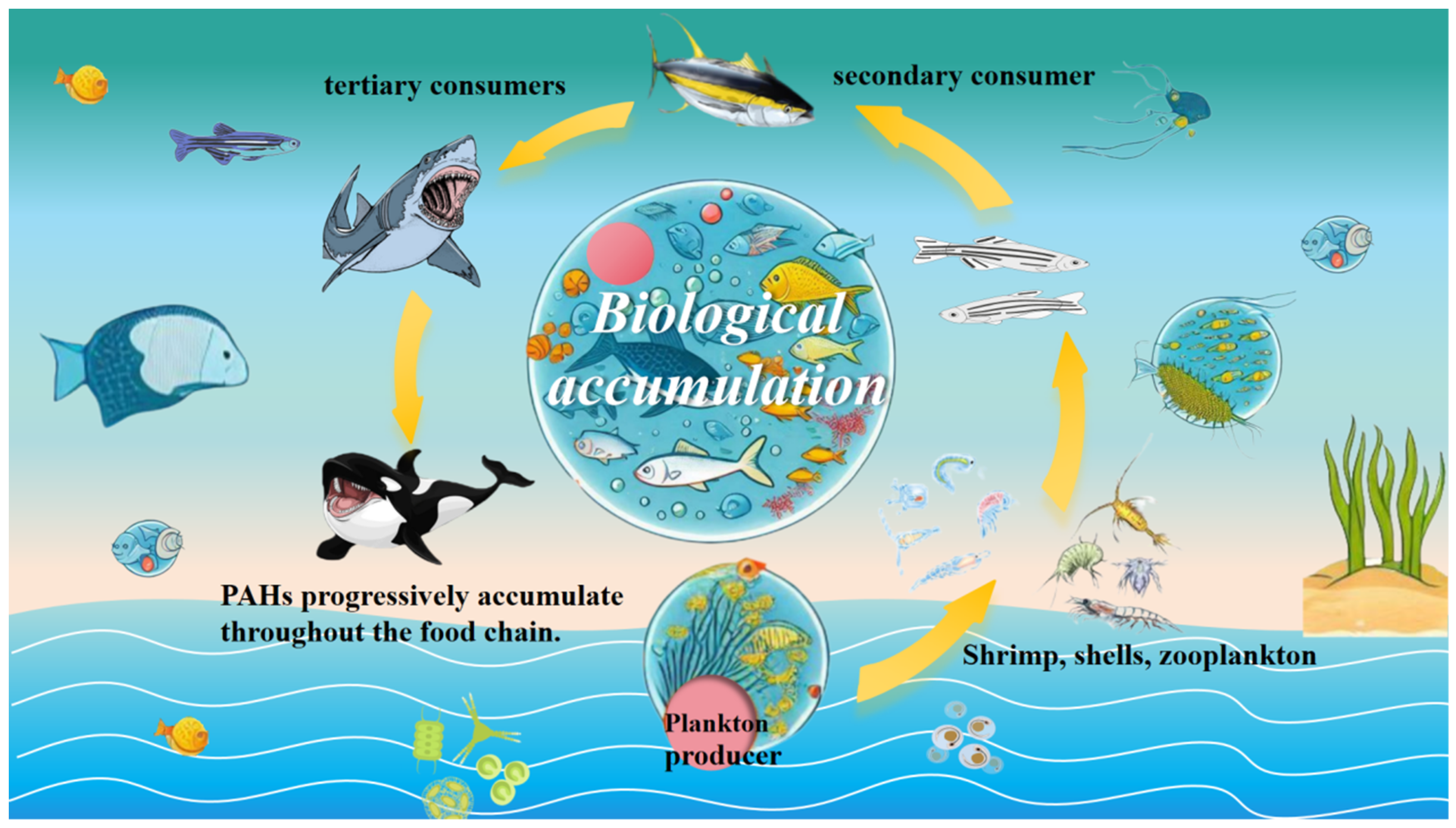 Sustainability 16 10346 g004