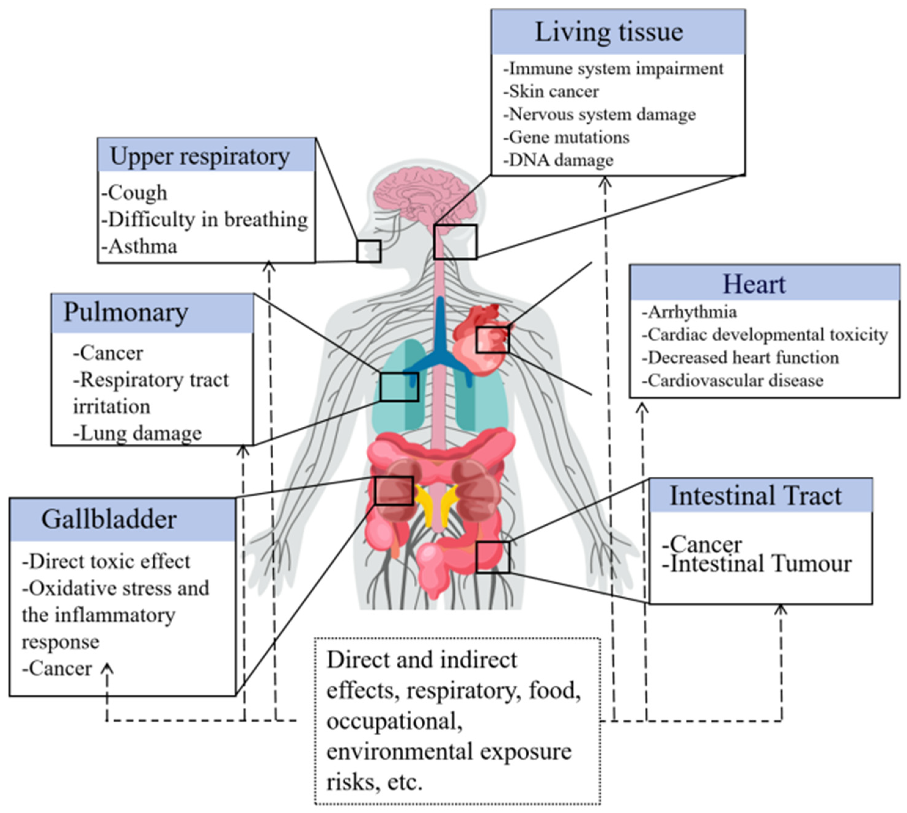 Sustainability 16 10346 g006