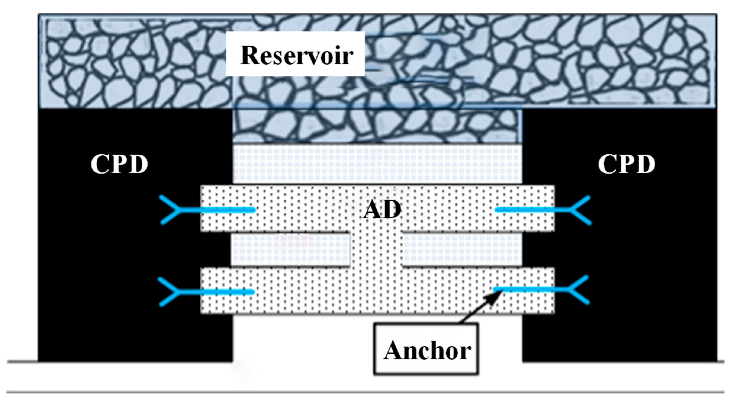 Sustainability 16 10350 g001