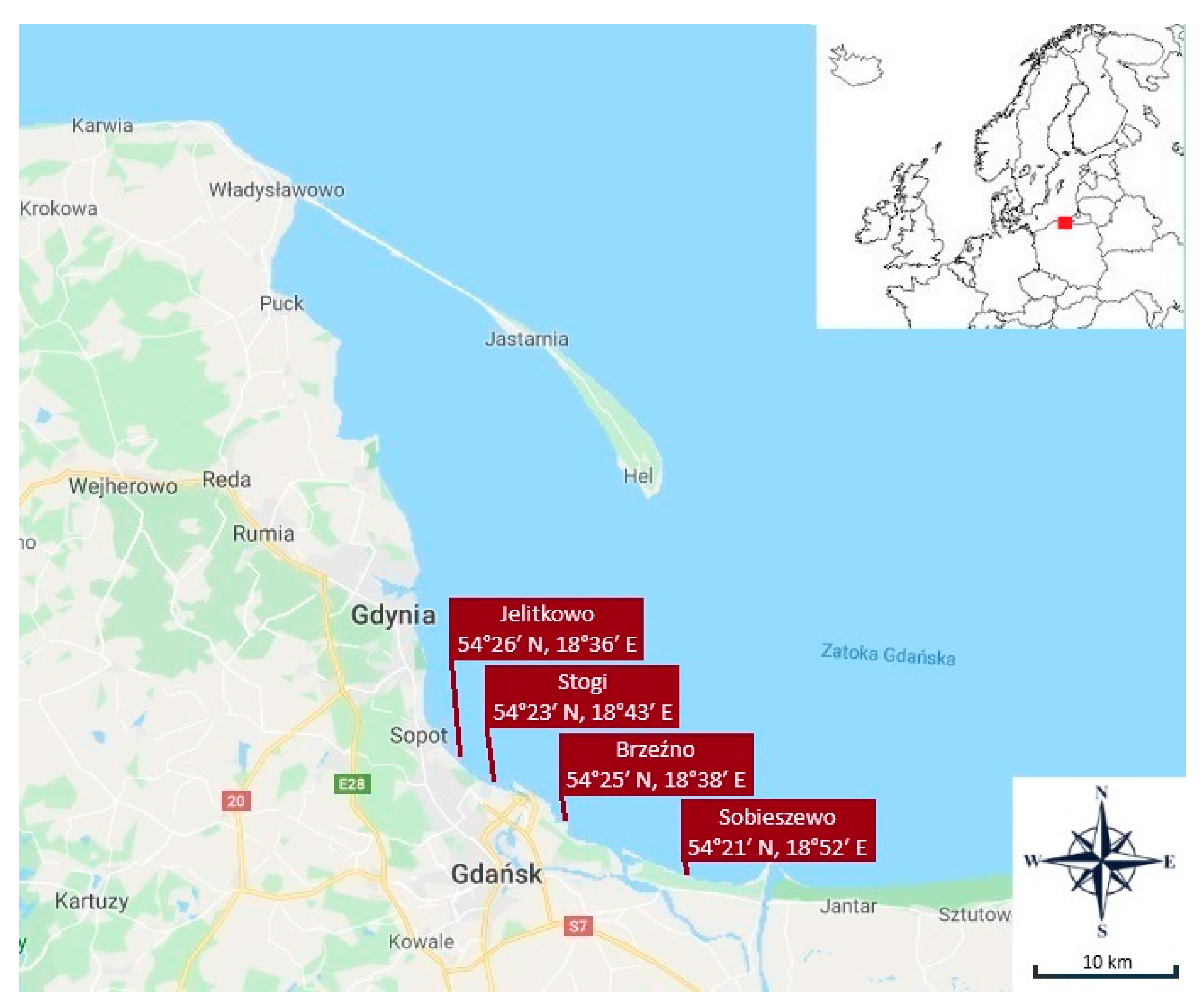 Sustainability 16 10351 g001