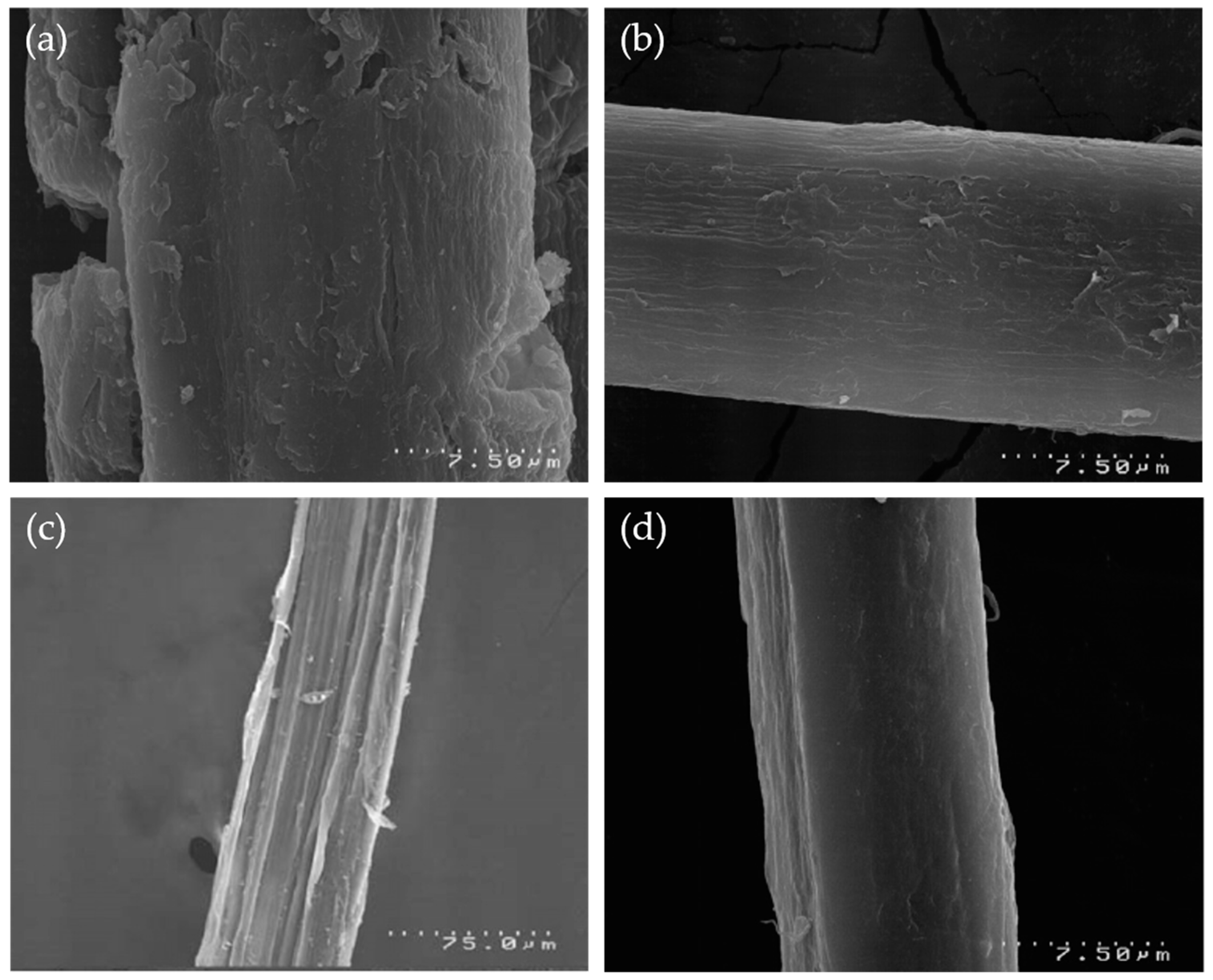 Sustainability 16 10368 g003