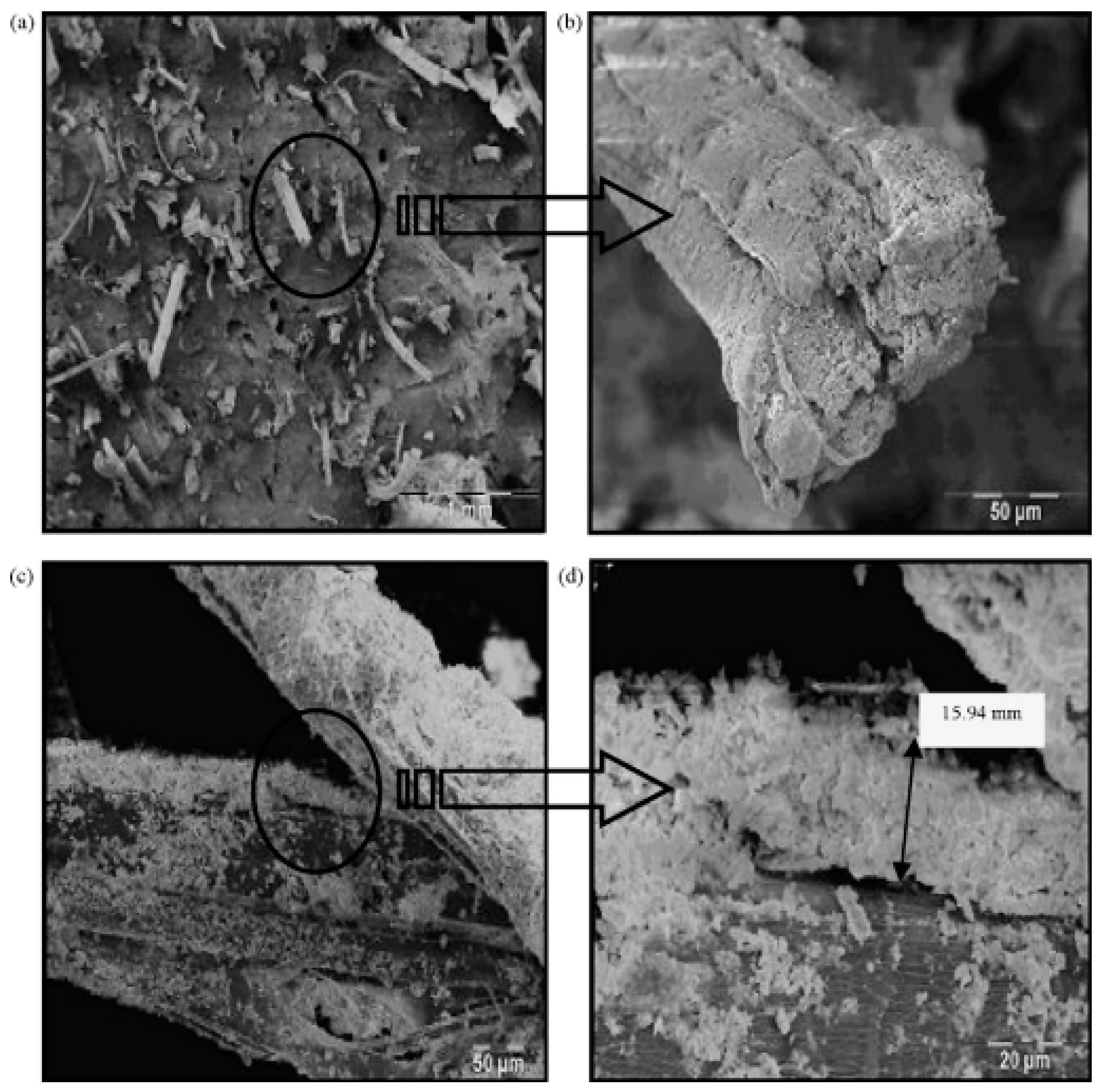 Sustainability 16 10368 g004