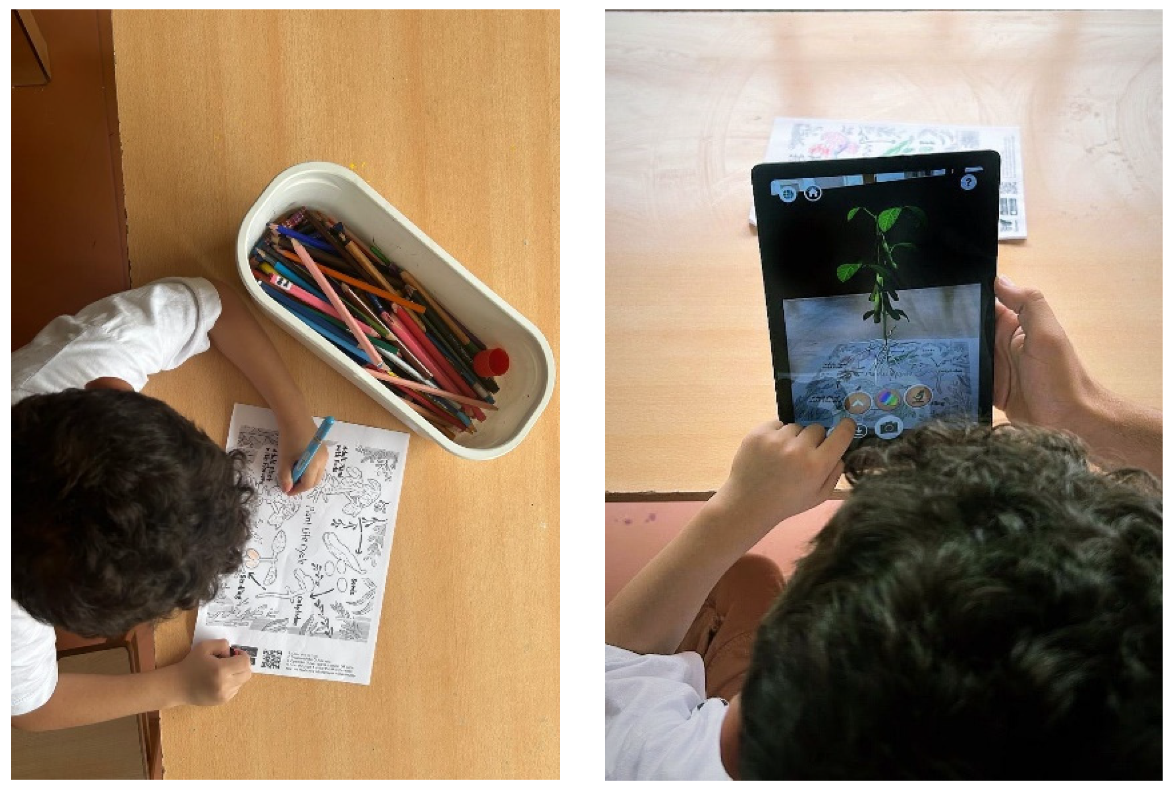 Sustainability 16 10374 g001