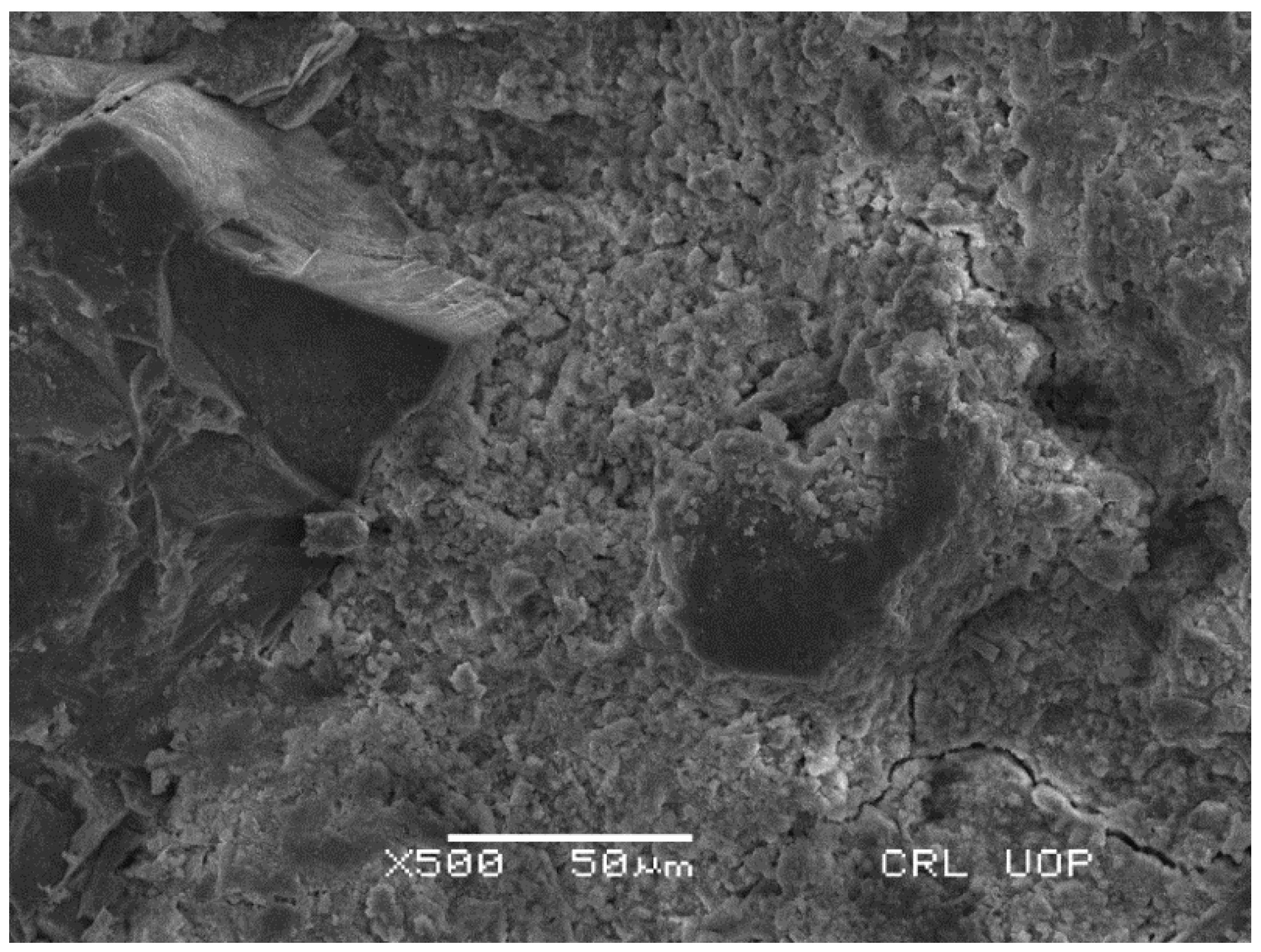 Sustainability 16 10385 g024