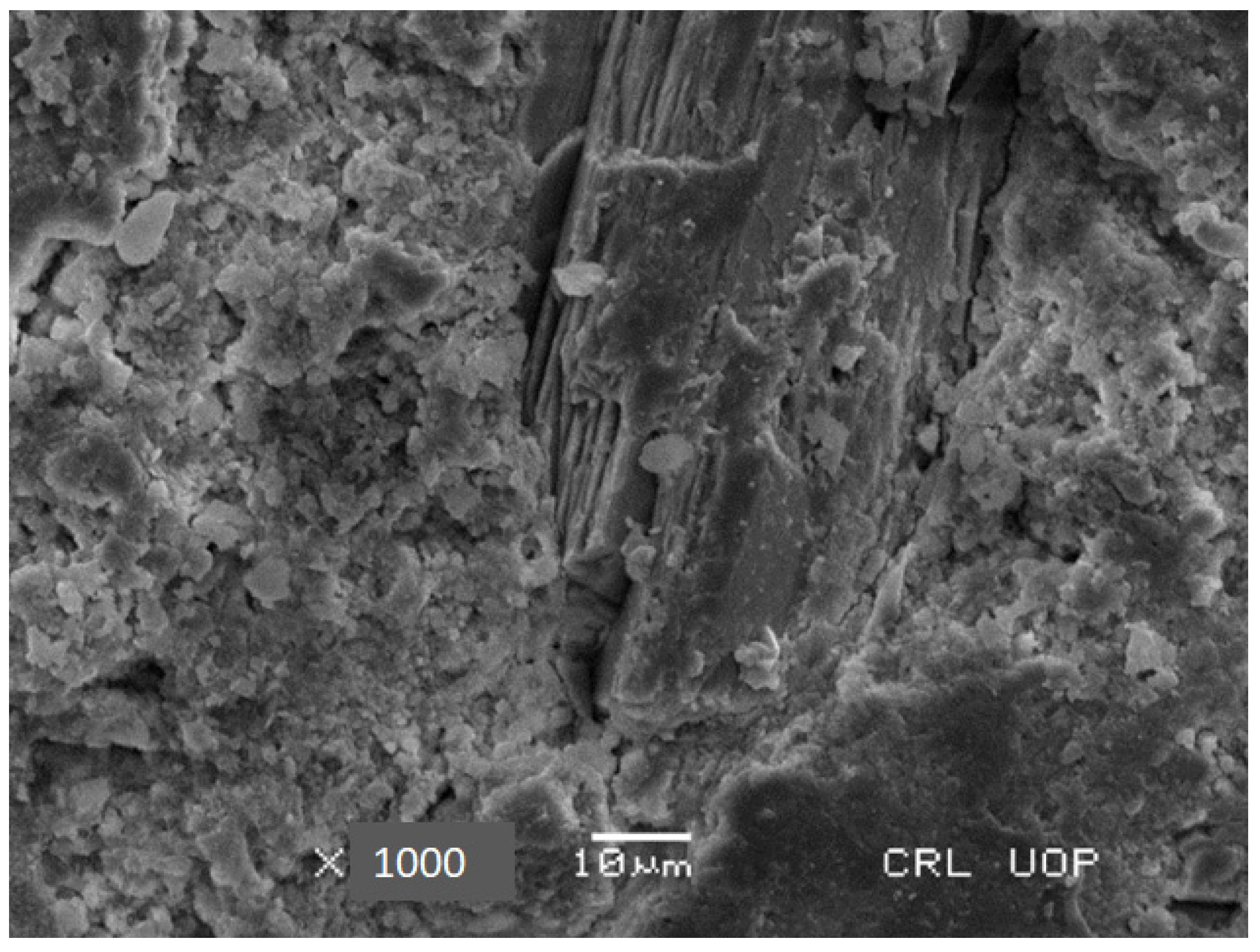 Sustainability 16 10385 g025