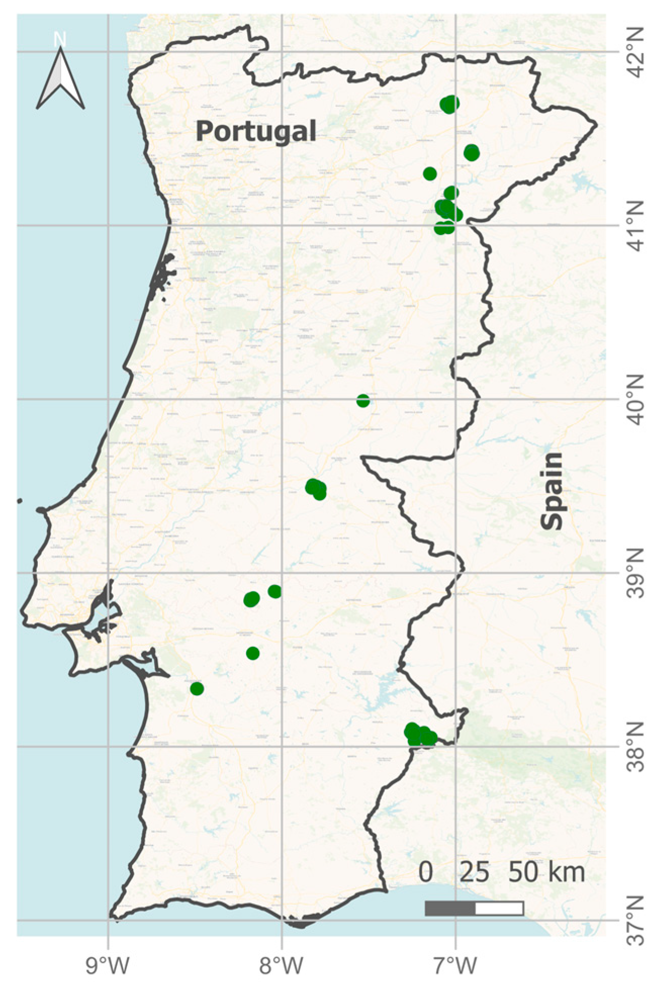 Sustainability 16 10389 g001