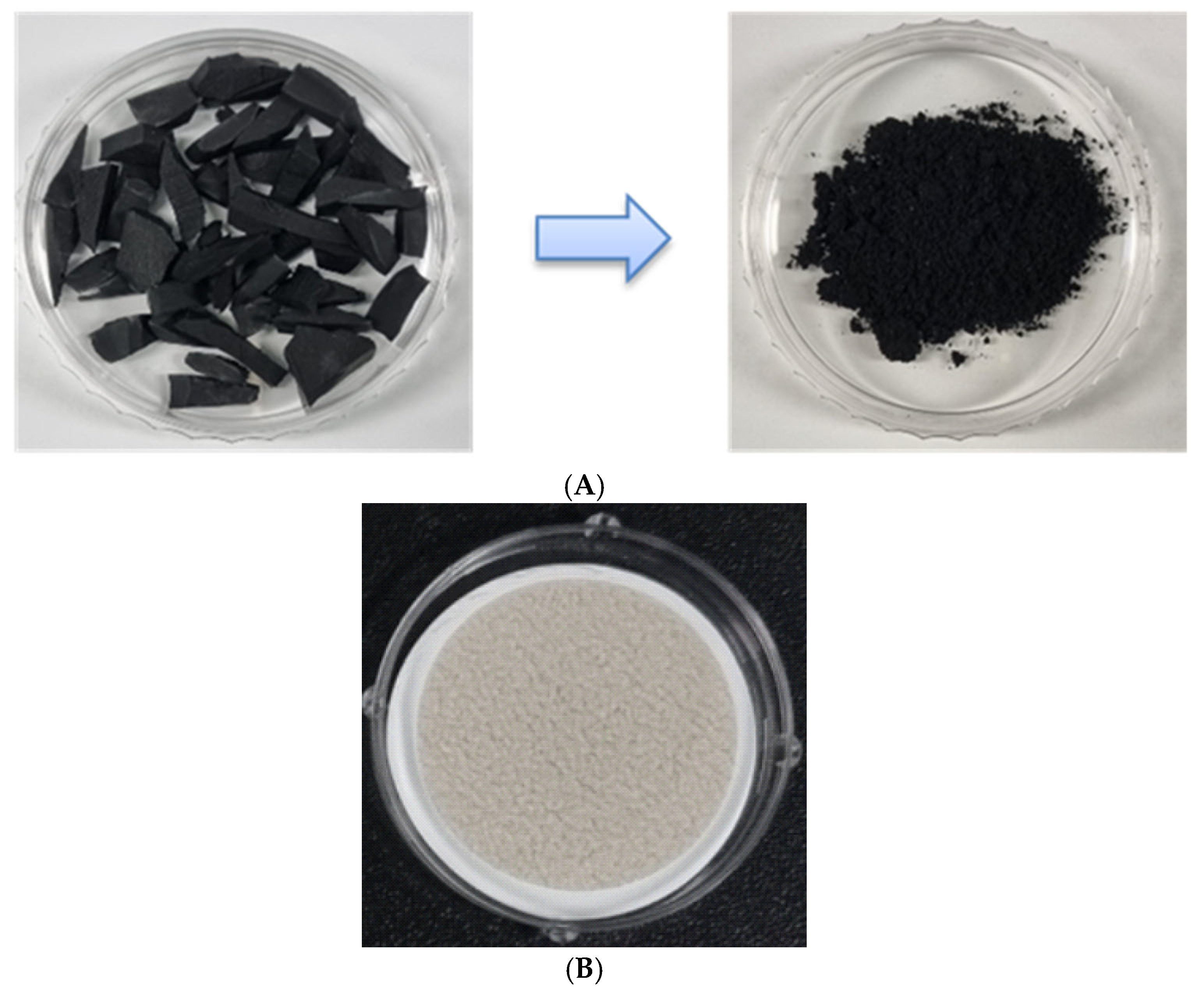 Sustainability 16 10395 g001