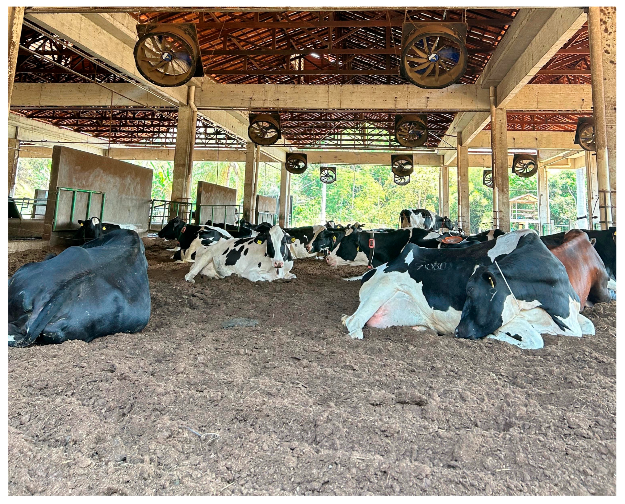 Sustainability 16 10408 g001