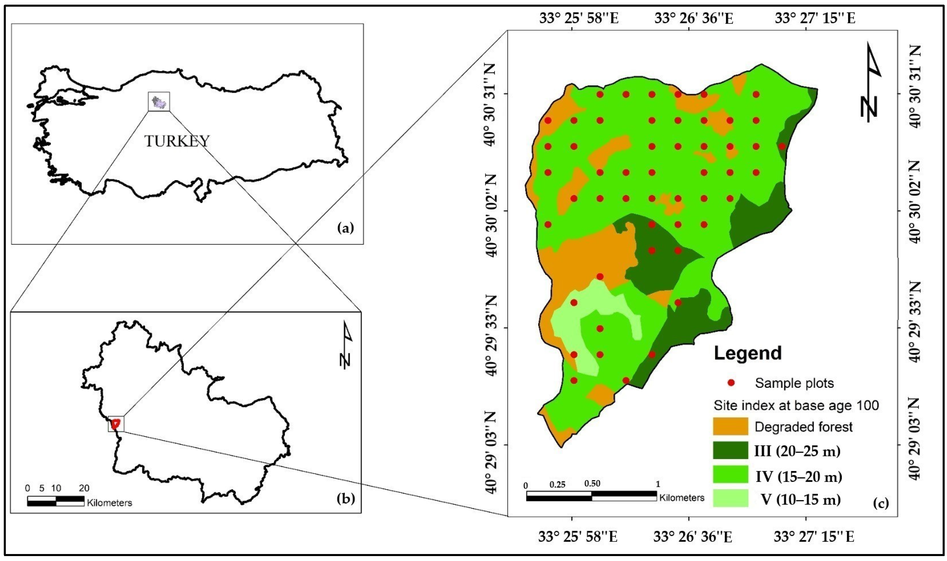Sustainability 16 10409 g001