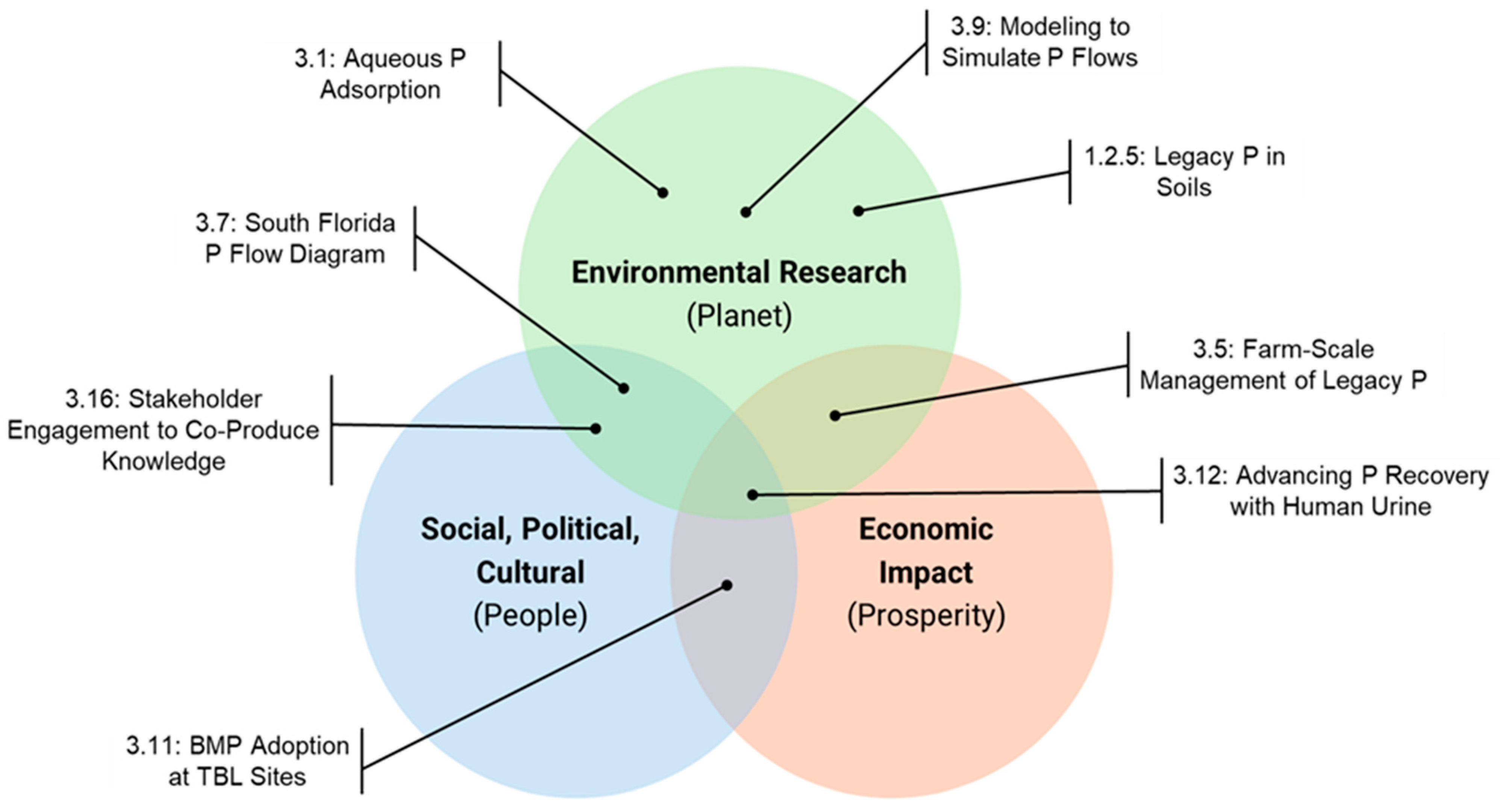 Sustainability 16 10429 g003