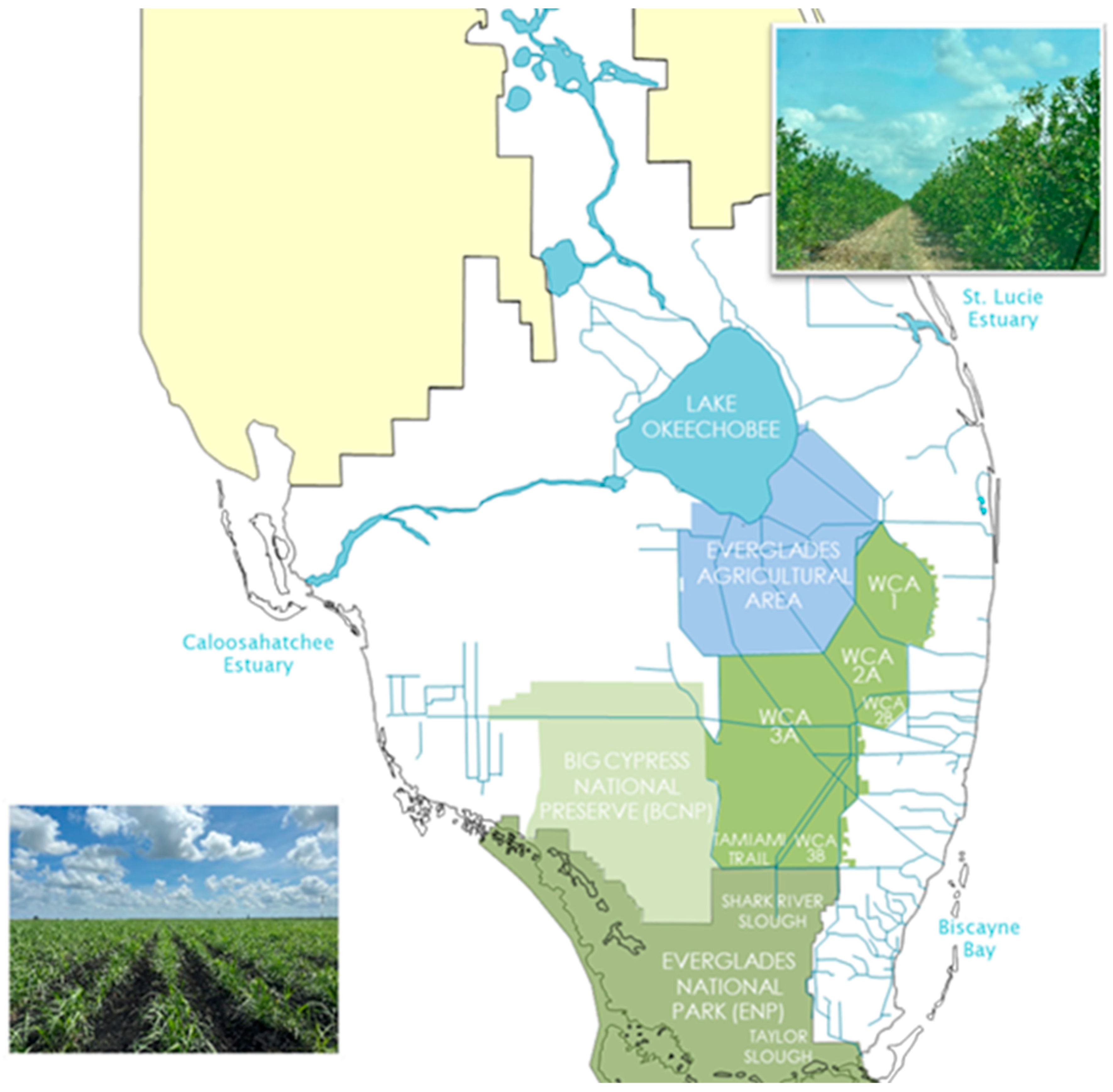 Sustainability 16 10429 g004