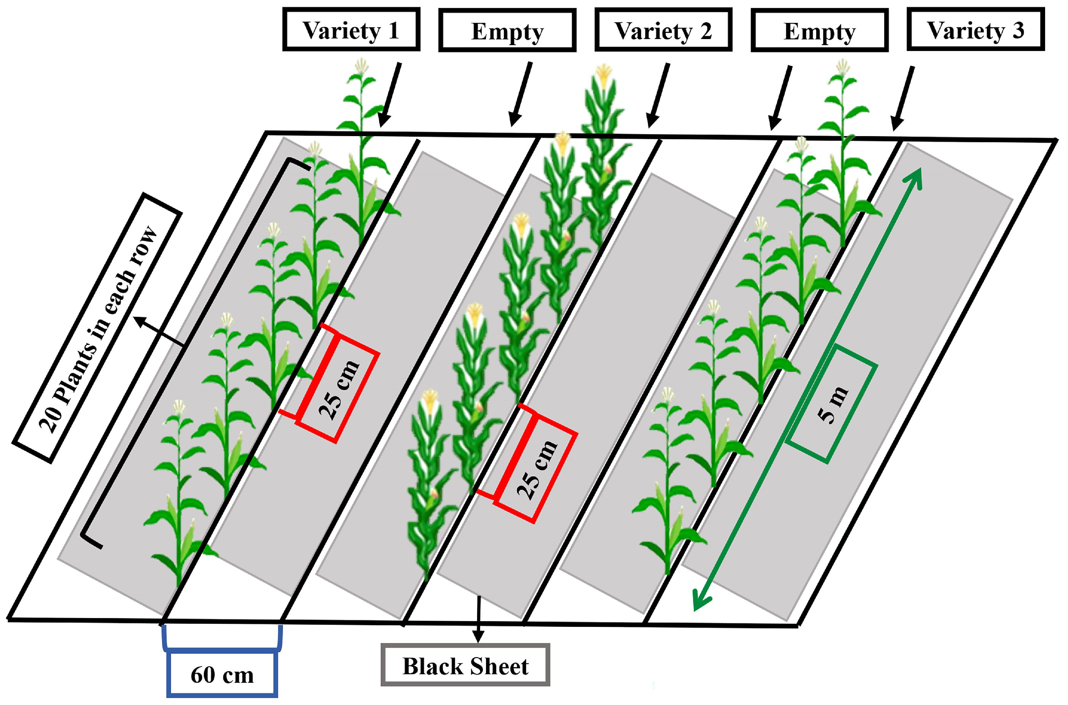 Sustainability 16 10451 g001