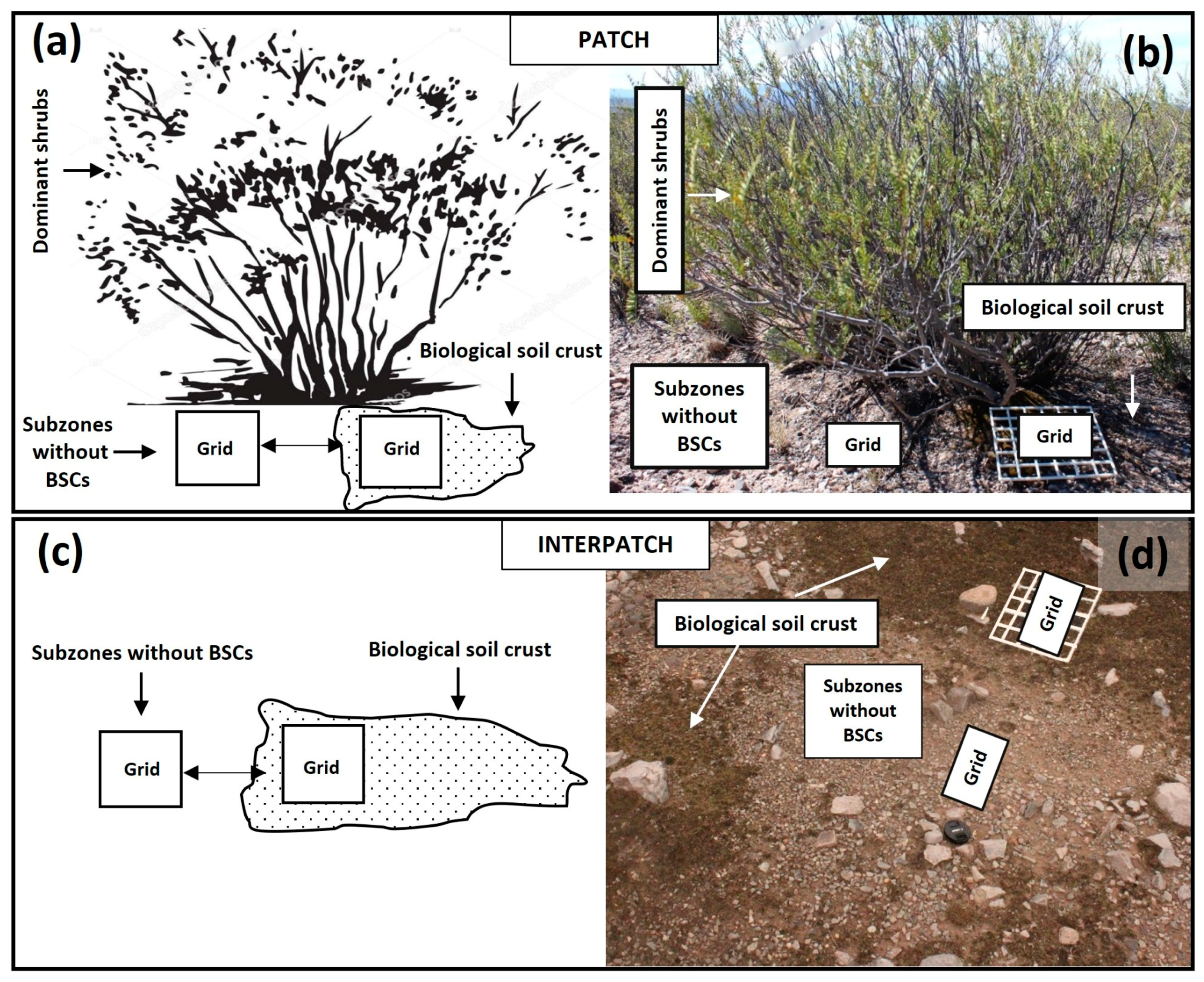 Sustainability 16 10468 g003