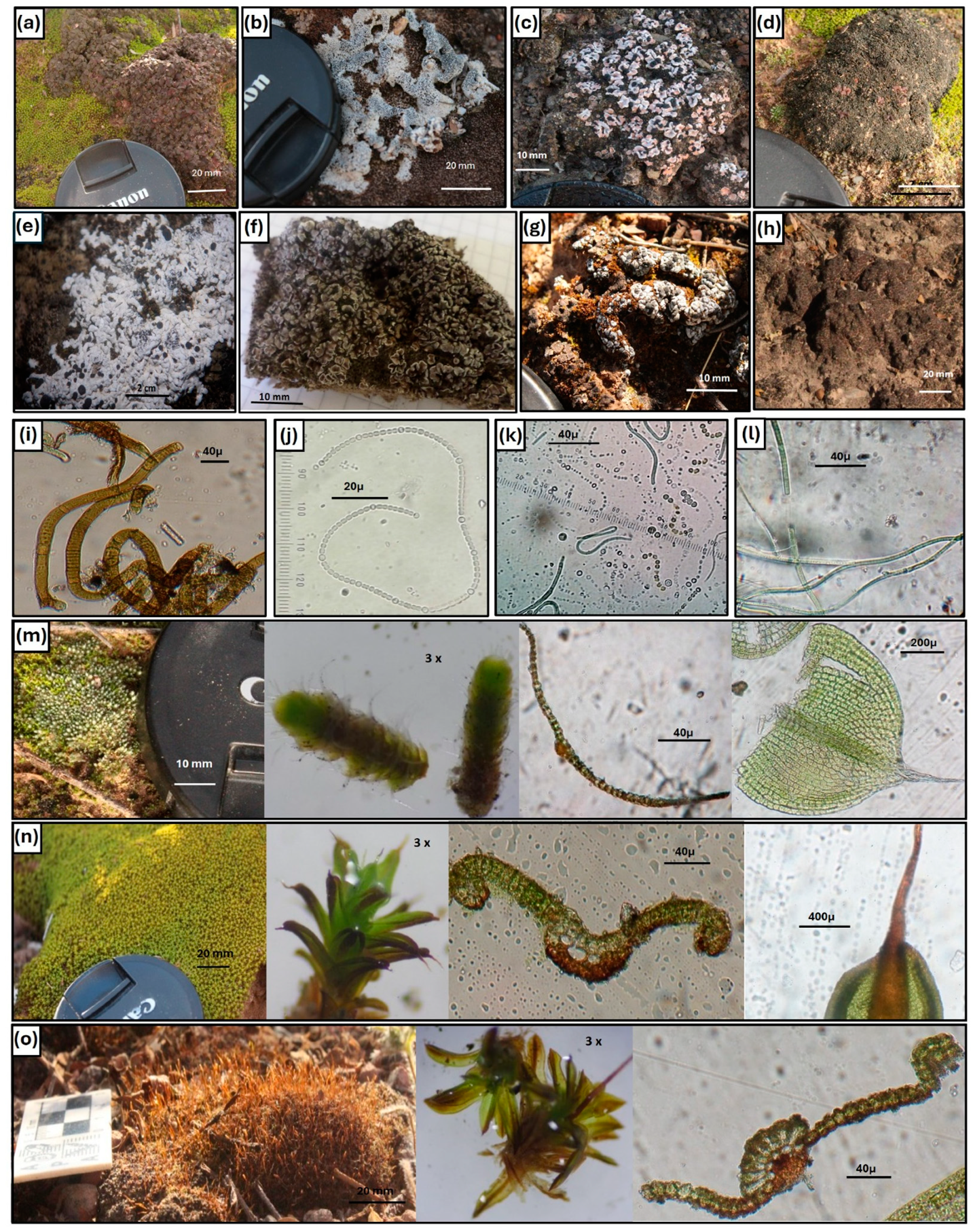 Sustainability 16 10468 g005