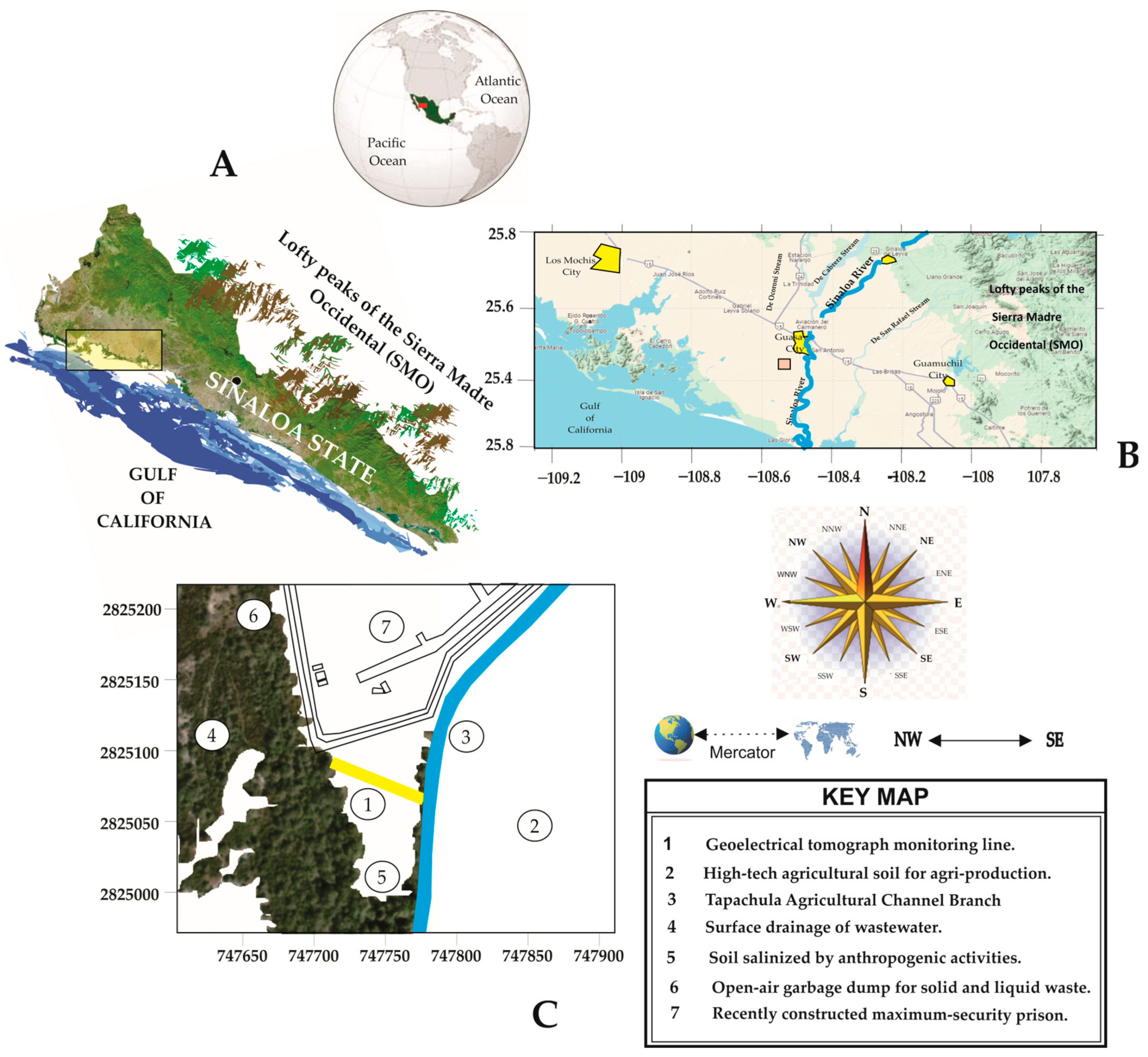 Sustainability 16 10486 g001