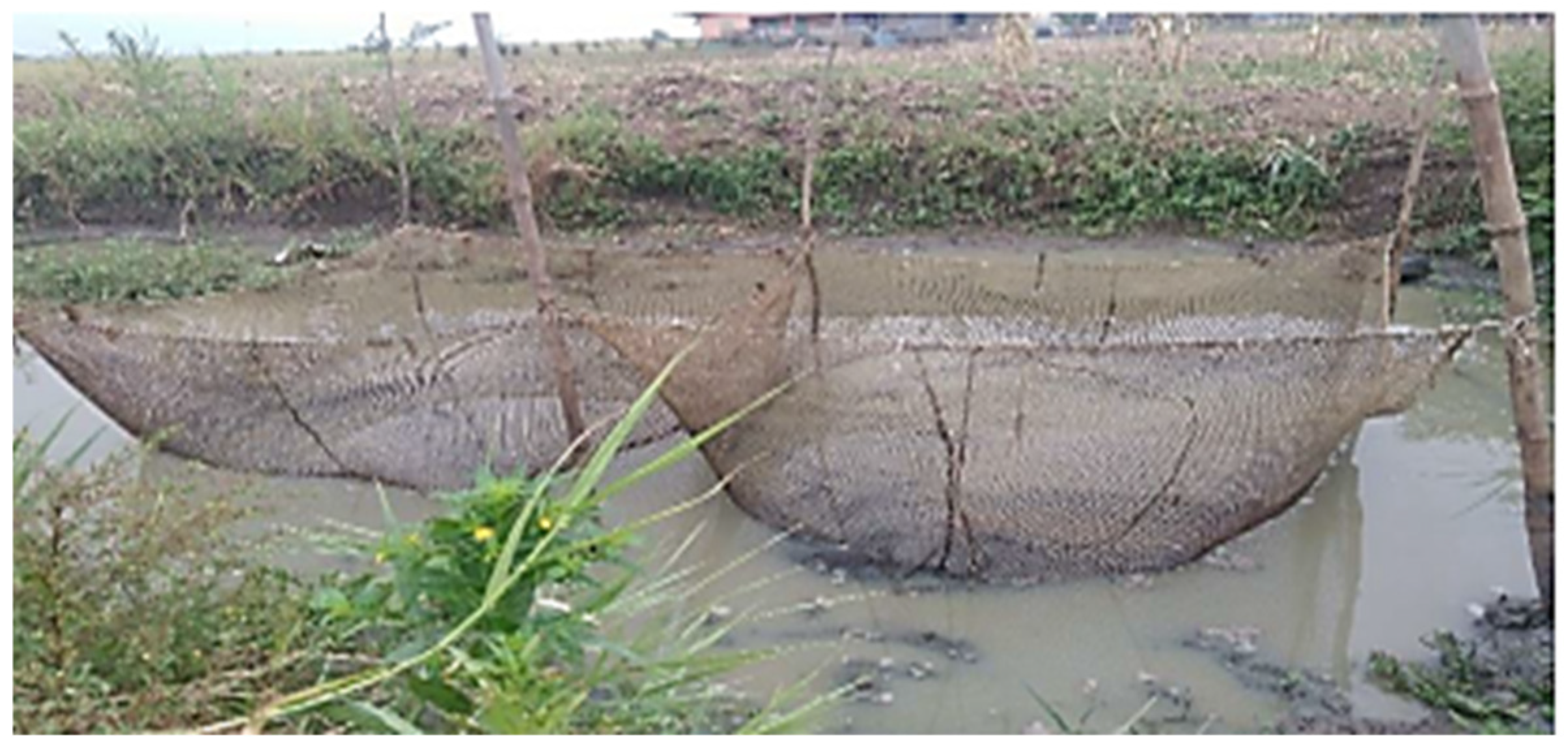 Sustainability 16 10499 g004