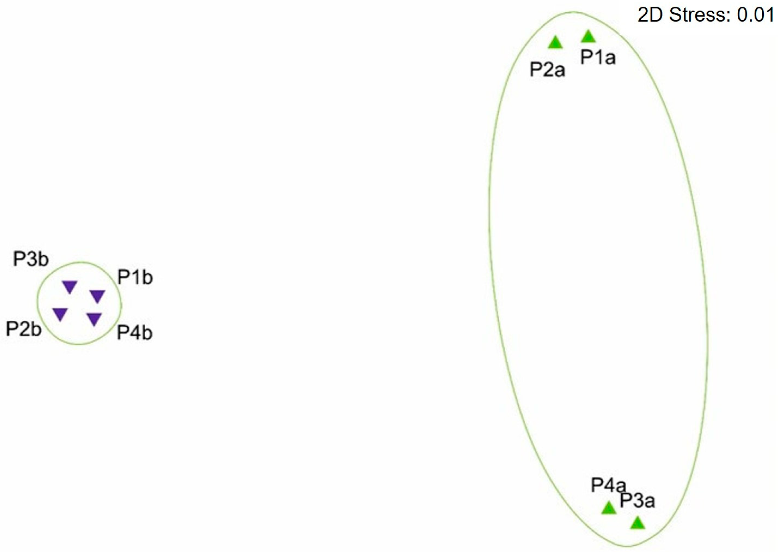 Sustainability 16 10523 g002
