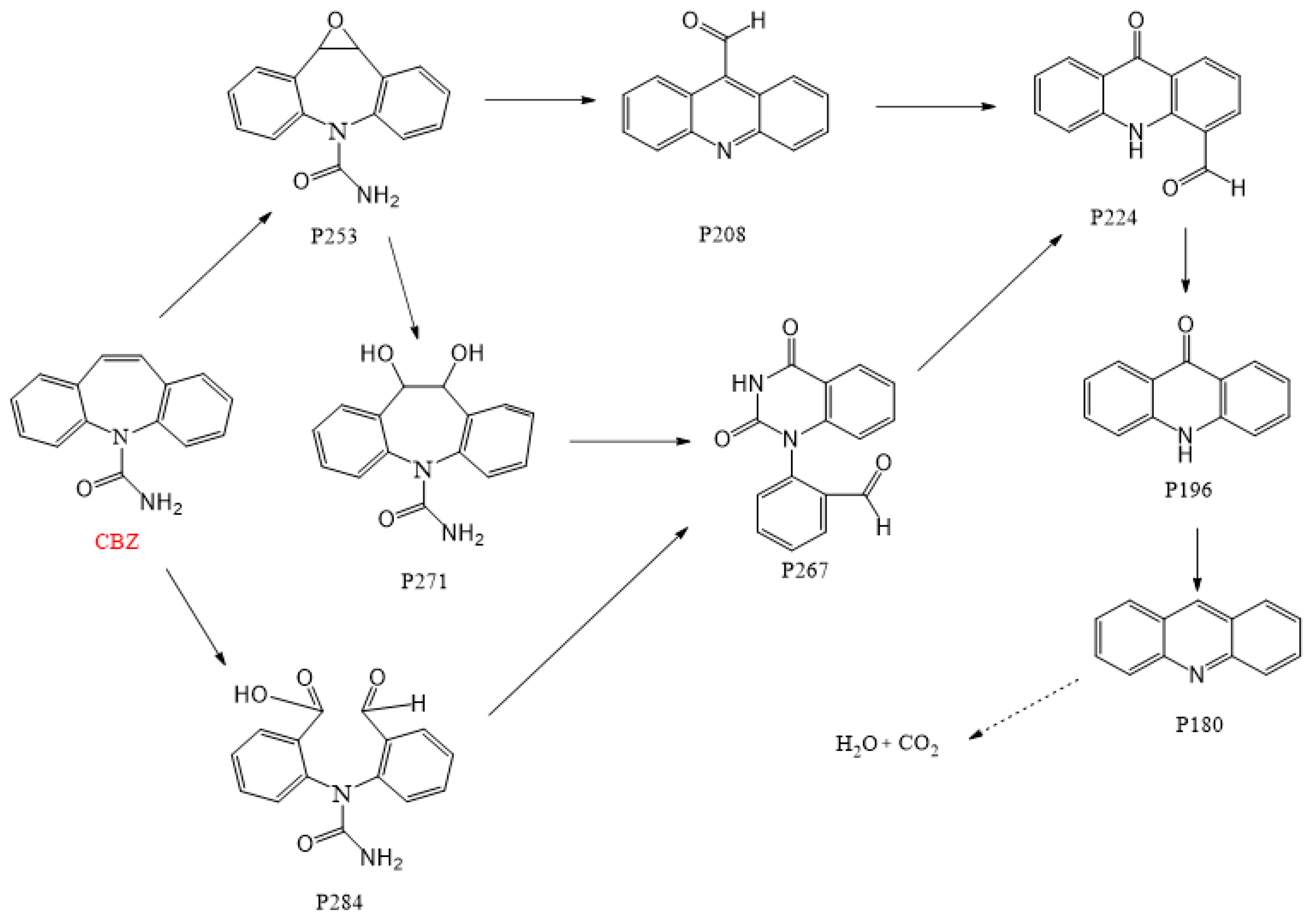 Sustainability 16 10544 g008