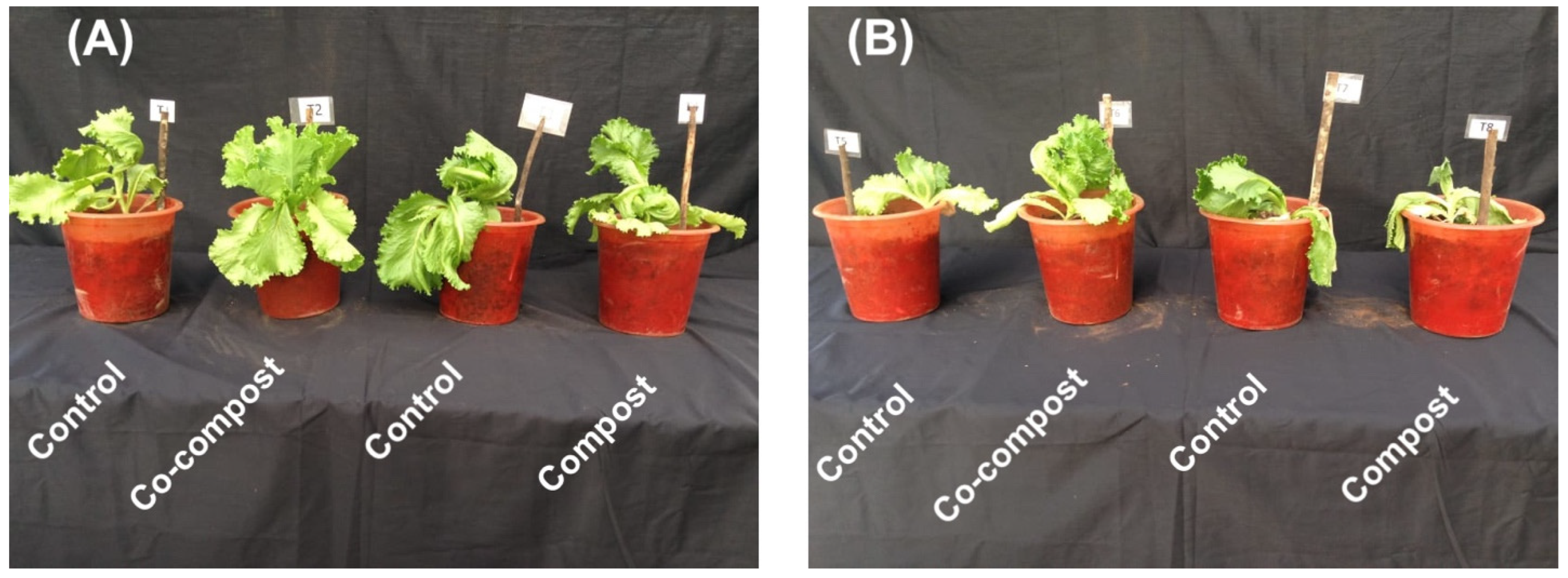 Sustainability 16 10548 g006