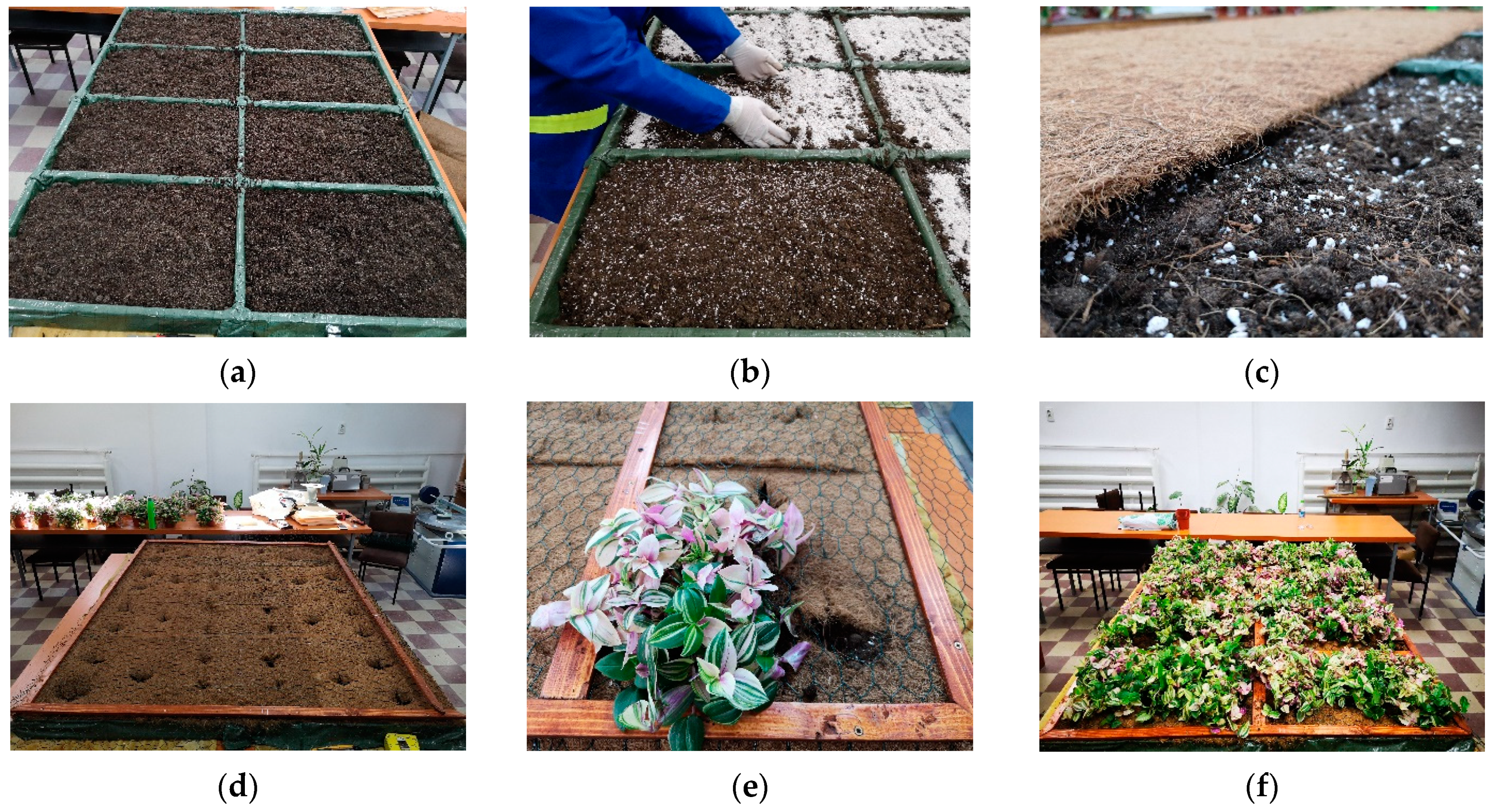 Sustainability 16 10556 g017