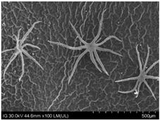 Sustainability 16 10556 i009