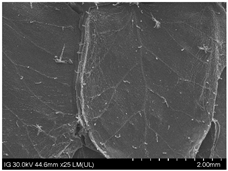 Sustainability 16 10556 i014