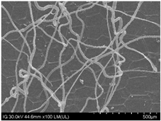 Sustainability 16 10556 i018