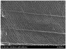 Sustainability 16 10556 i023