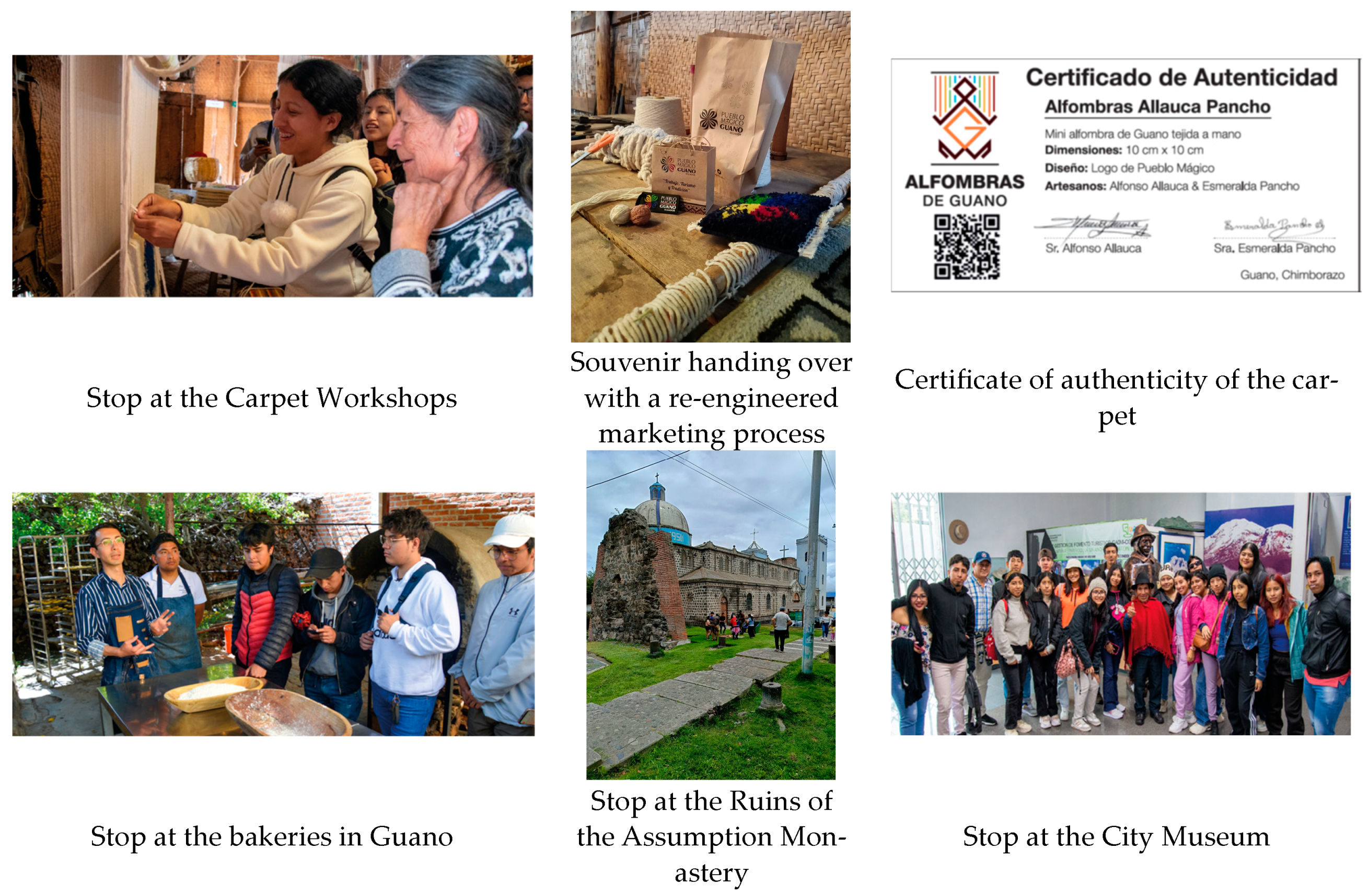 Sustainability 16 10558 g002