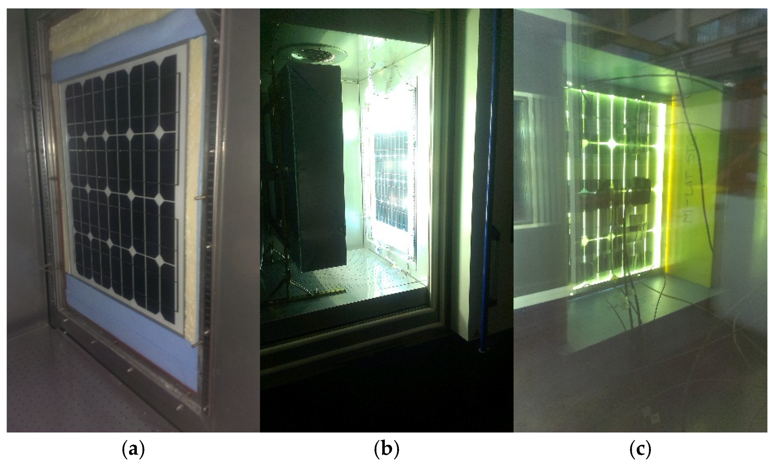 Sustainability 16 10566 g004